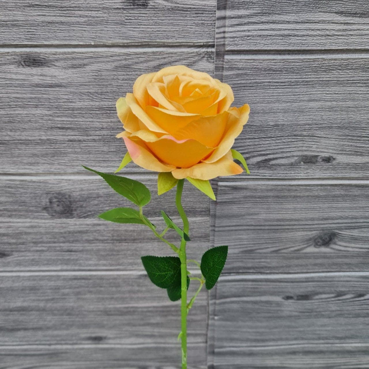 กุหลาบเดี่ยว (XN23), A single-stem rose: velvet petals folded into opening, multi-layered tiers.