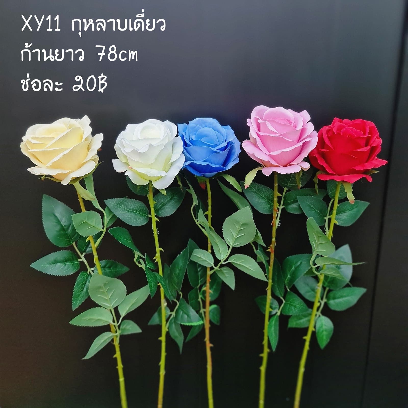 กุหลาบเดี่ยว (XY11), A single-stem rose: graduated petal tones running from a deep heart to a softer edge.
