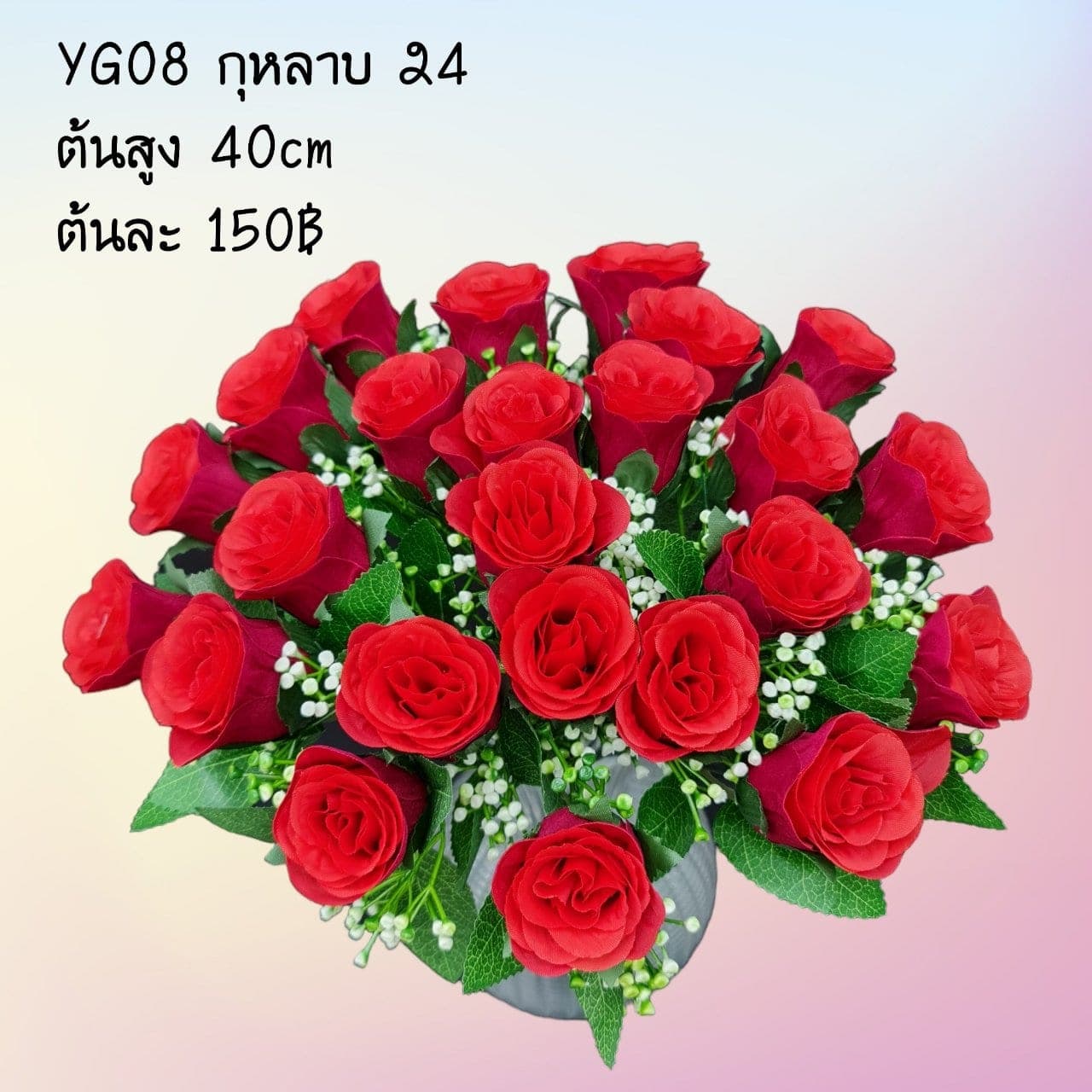 กุหลาบ 24ดอก (YG8), กุหลาบ 24 ดอก: กลีบกำมะหยี่พับซ้อนกันเป็นชั้นเปิดอ่อนละมุน