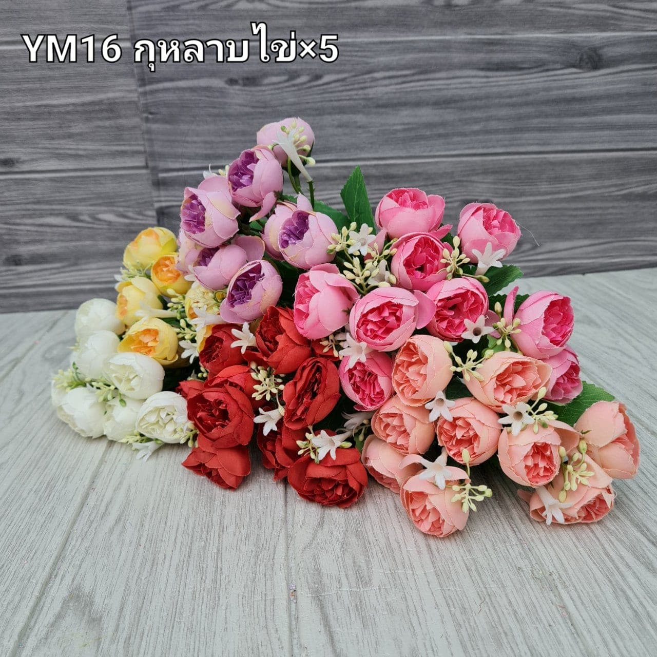 กุหลาบไข่ (YM16), กุหลาบ: สีกลีบเป็นชั้นไล่โทนจากใจกลางสู่ขอบนอก