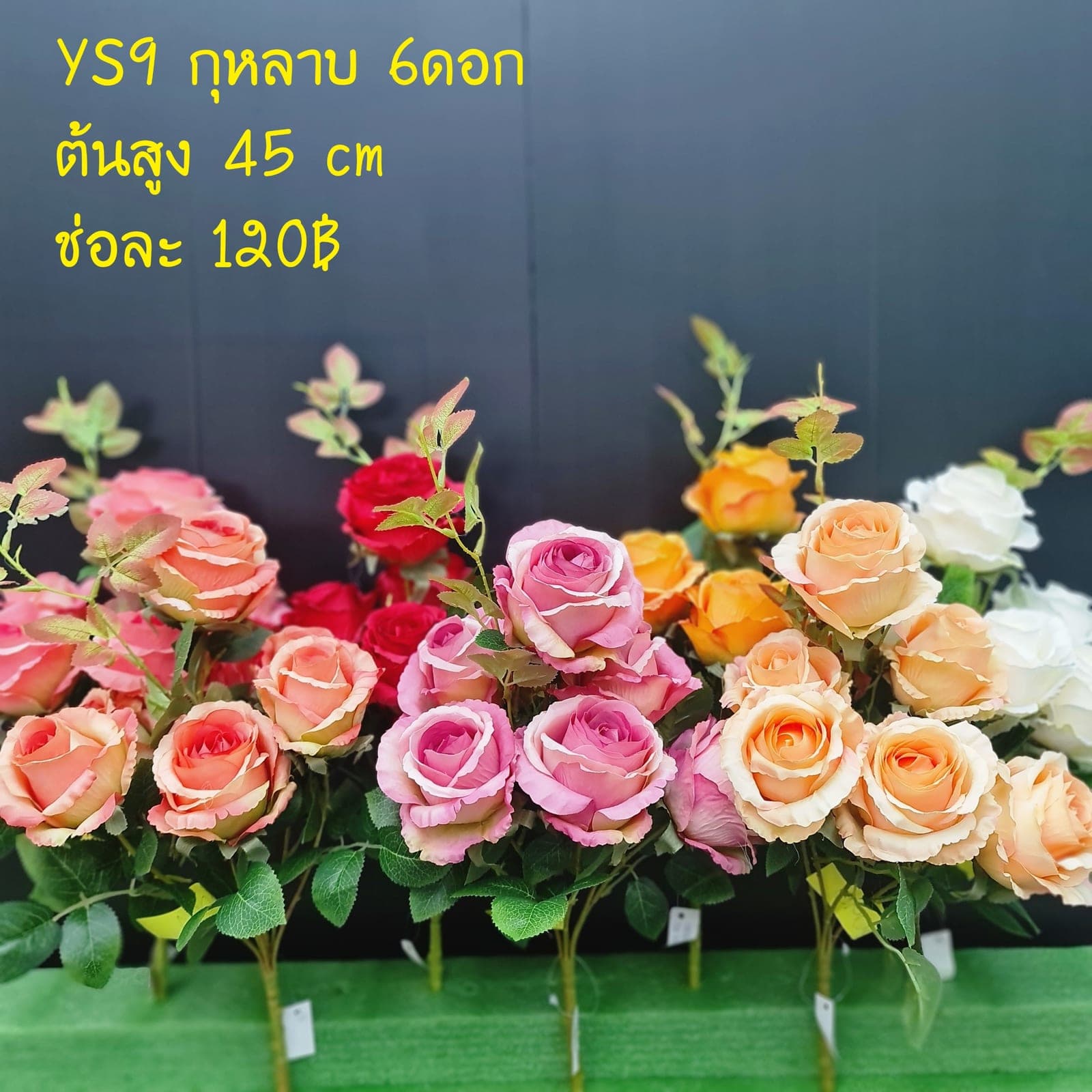 กุหลาบ 7ดอก (YS9), กุหลาบ 7 ดอก: ดอกแน่น ก้านแข็งแรง ทรงเปิดได้สวยทุกมุม