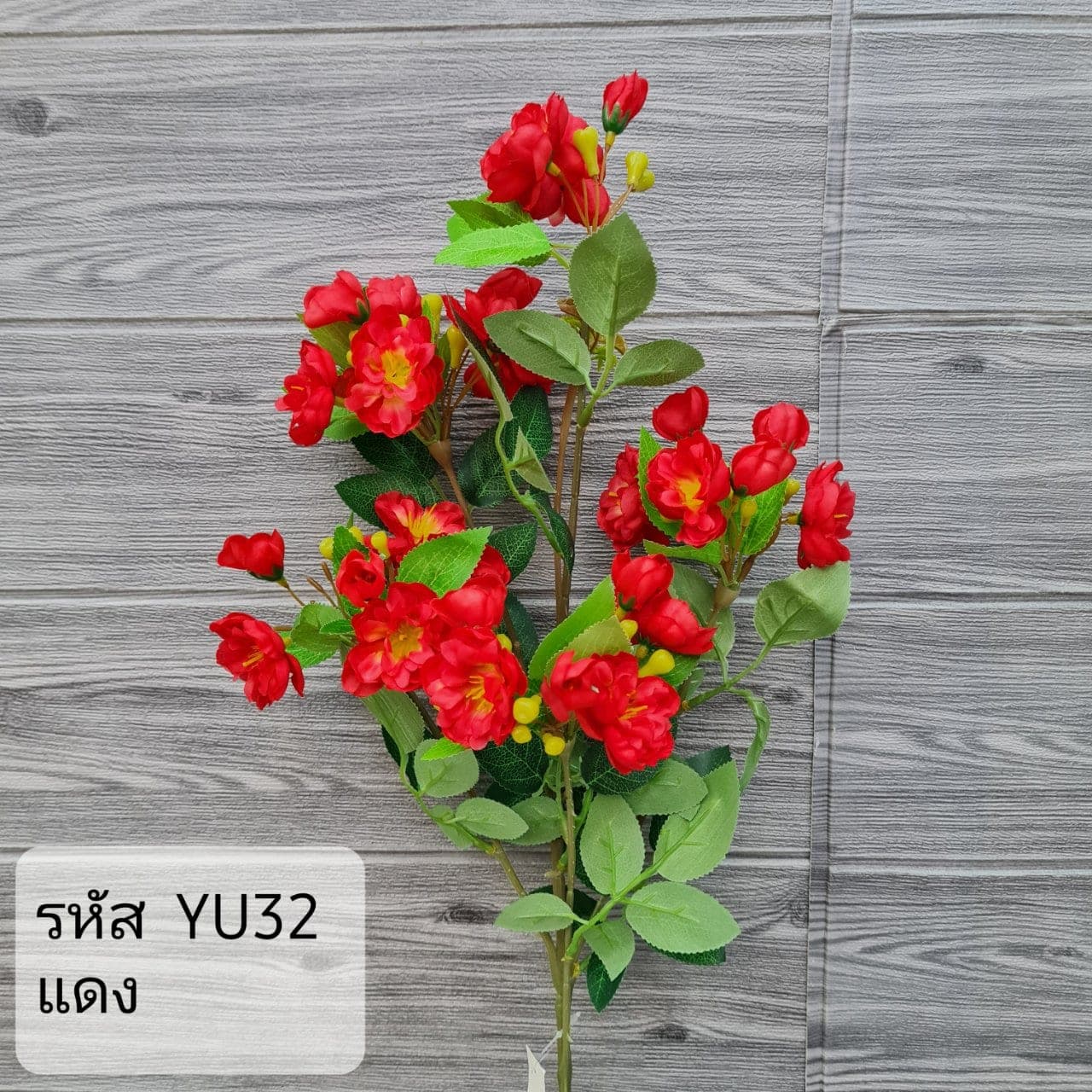 กุหลาบมอญช่อยาว (YU3), กุหลาบ: กลีบกำมะหยี่พับซ้อนกันเป็นชั้นเปิดอ่อนละมุน