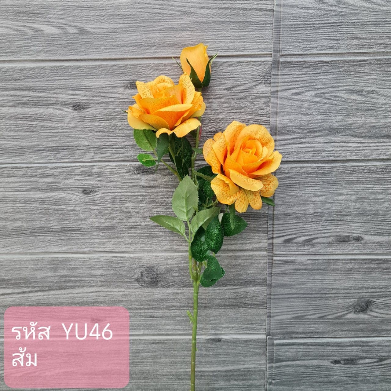 กุหลาบ1ต2บ (YU4), กุหลาบ: ดอกแน่น ก้านแข็งแรง ทรงเปิดได้สวยทุกมุม