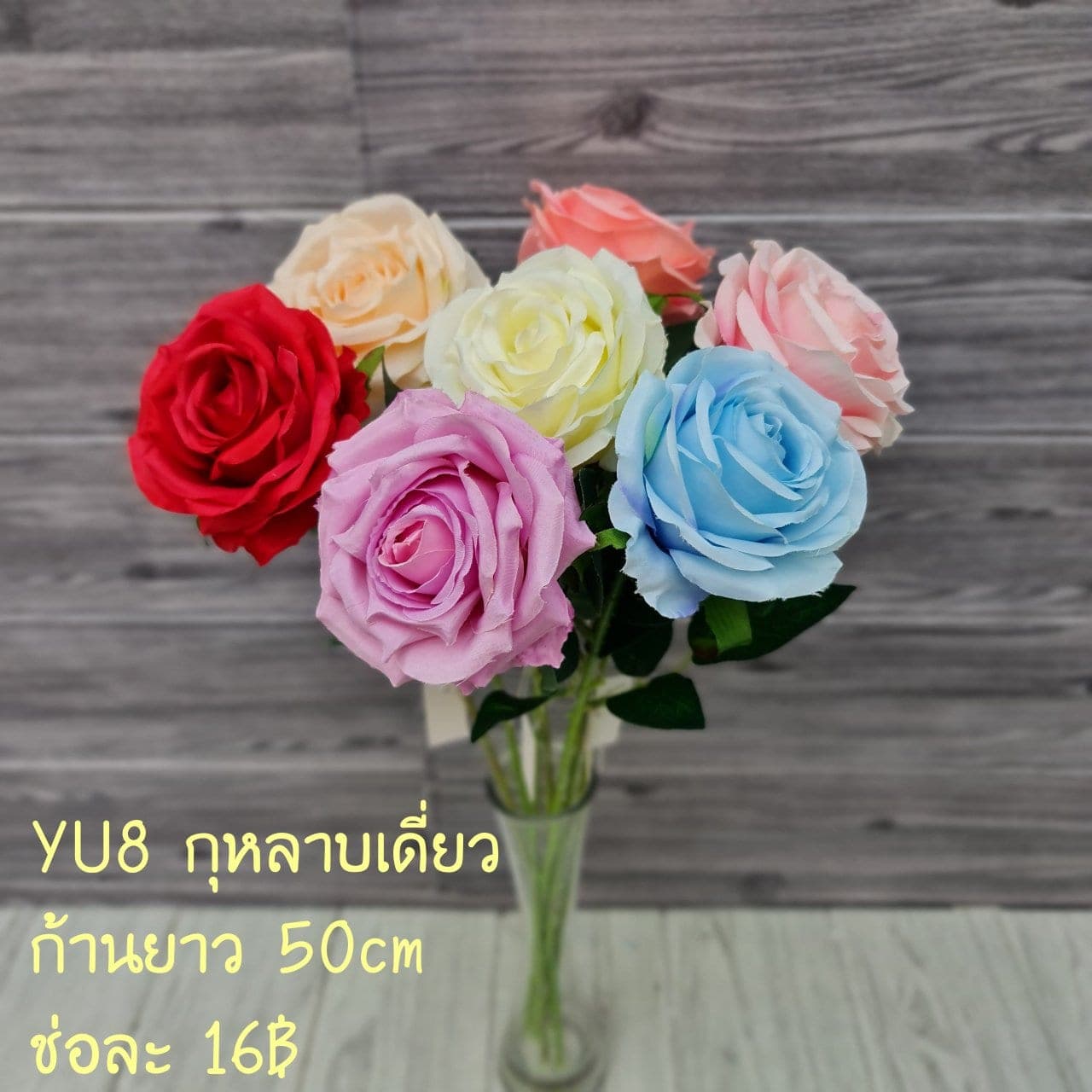 กุหลาบเดี่ยว (YU8), ก้านเดี่ยวกุหลาบ: สีกลีบเป็นชั้นไล่โทนจากใจกลางสู่ขอบนอก