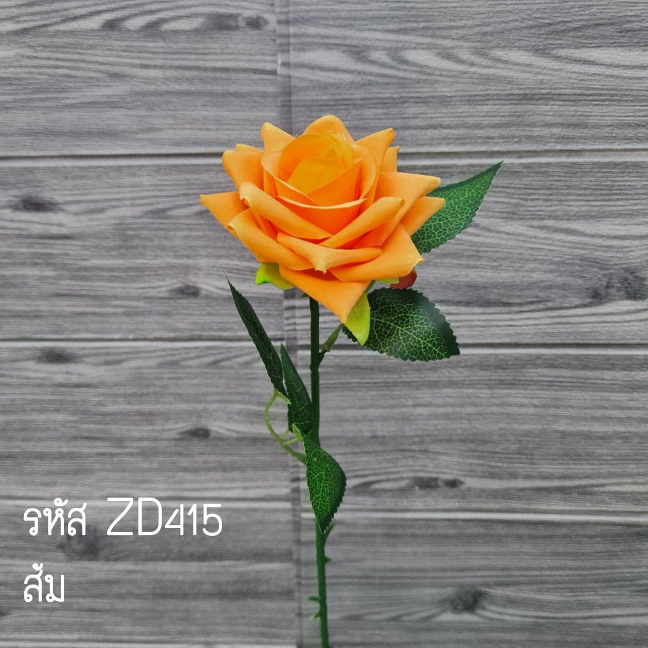 กุหลาบเดี่ยว (ZD41), A single-stem rose: a sculpted bloom with a sturdy stem and full, even profile.