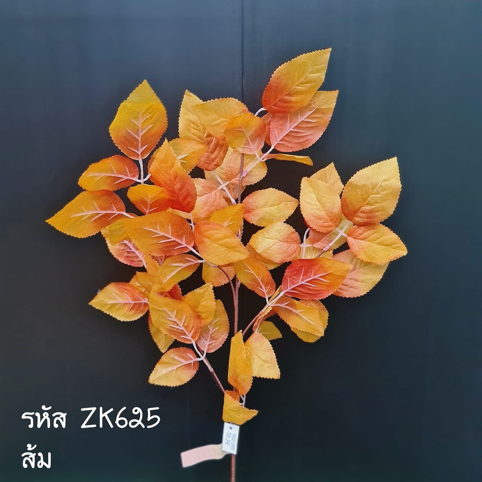 ใบกุหลาบช่อยาว (ZK62), กุหลาบ: สีกลีบเป็นชั้นไล่โทนจากใจกลางสู่ขอบนอก