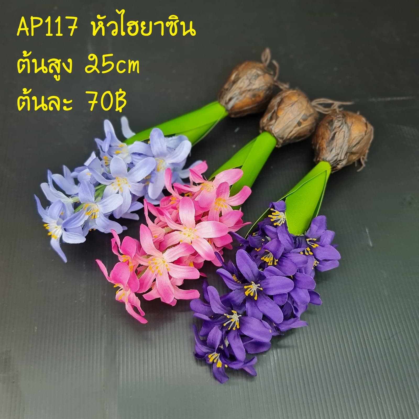 หัวไฮยาซิน (AP117), ไฮยาซินธ์ — ก้านอวบและดอกเล็กเรียงรอบ ให้พื้นผิวอวบฉ่ำ