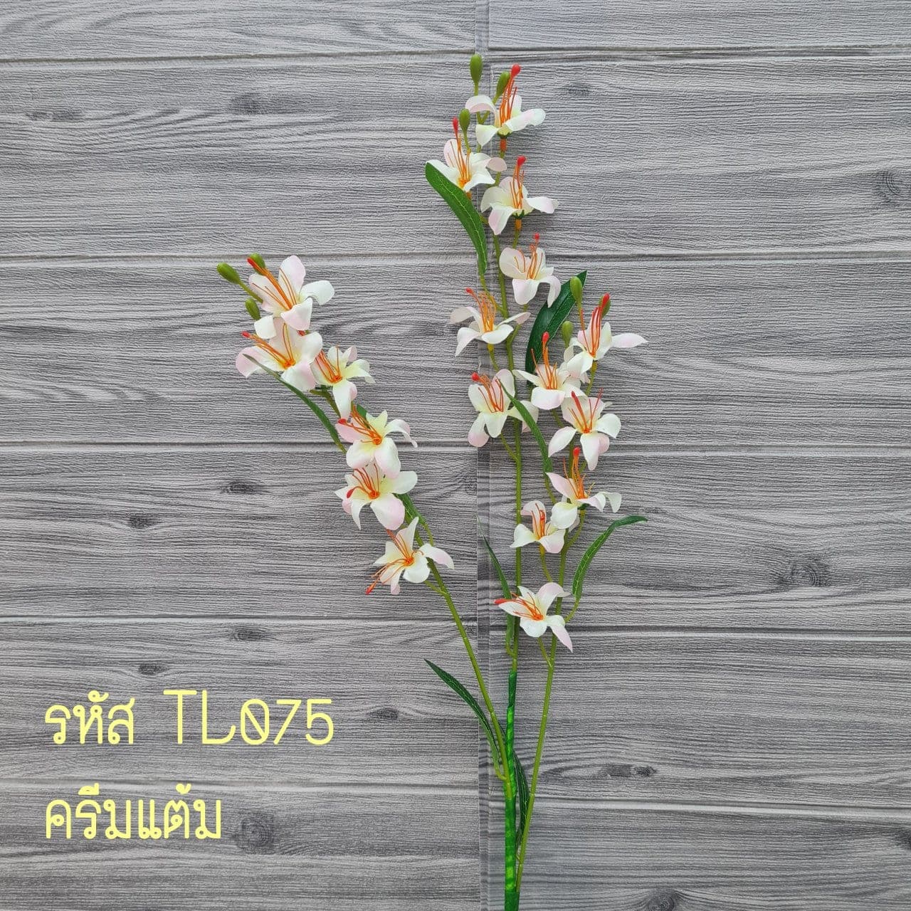 ฟรีเซีย (TL7), ฟรีเซีย — ดอกเรียงเป็นซุ้มโค้งบนก้านบางๆ พริ้วและละเอียด