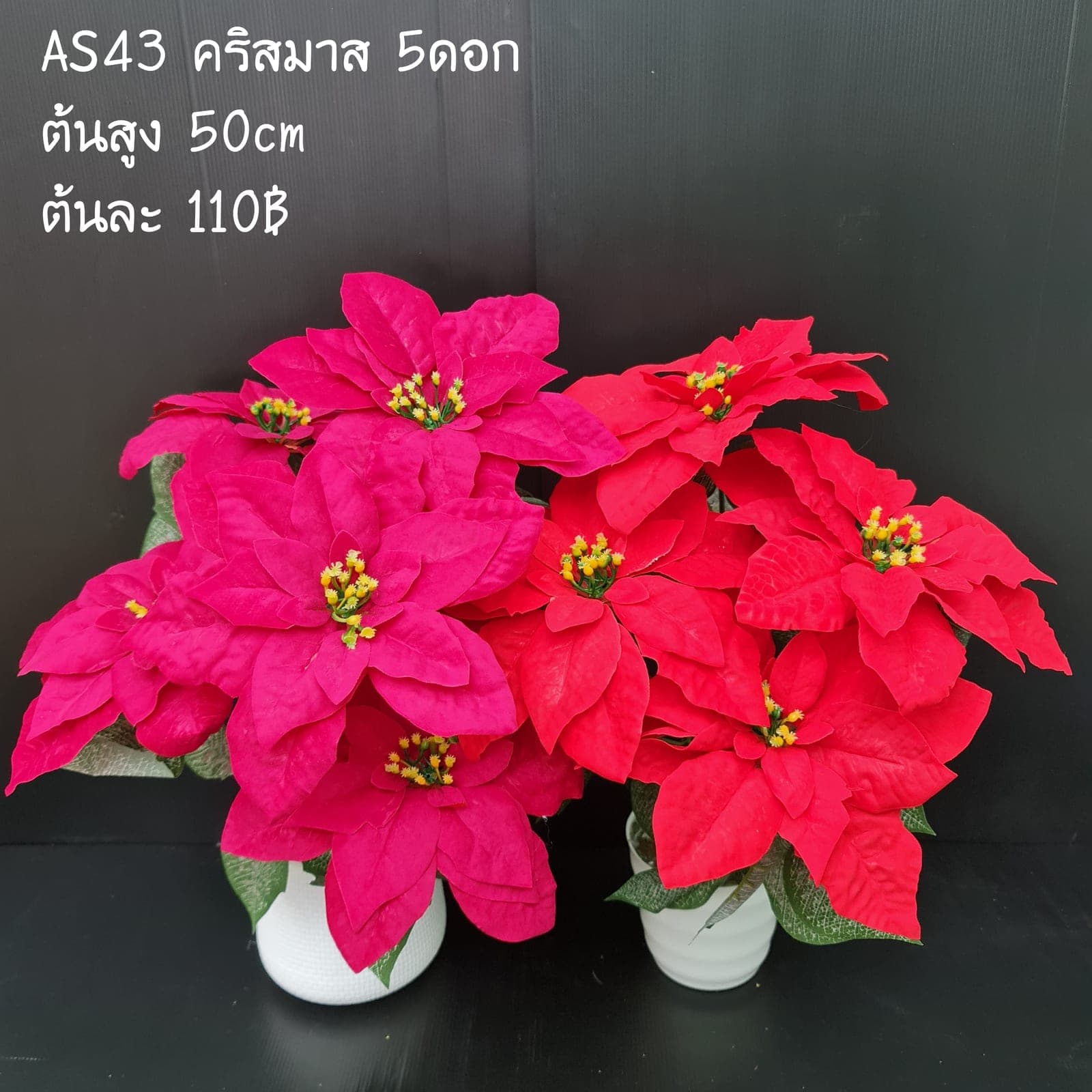 คริสมาส5ดอก (AS43), ก้านดอกประติมากรรม 5 ดอก — ก้านยาวฟอร์มชัด ใช้เป็นจุดเด่นได้ในแจกันสูง