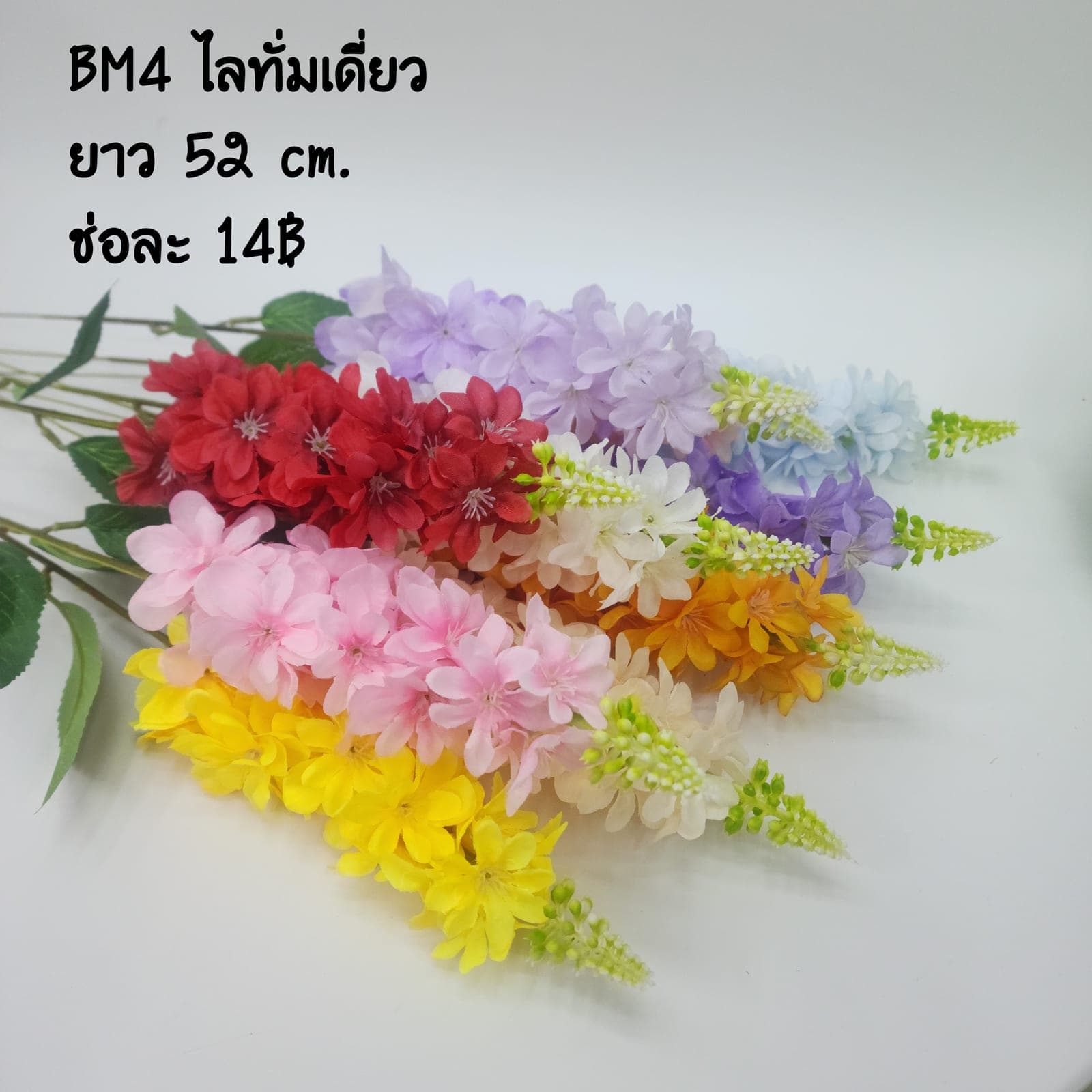 ไลทั่มเดี่ยว (BM04), ก้านเดี่ยวก้านดอกประติมากรรม — ก้านยาวฟอร์มชัด ใช้เป็นจุดเด่นได้ในแจกันสูง