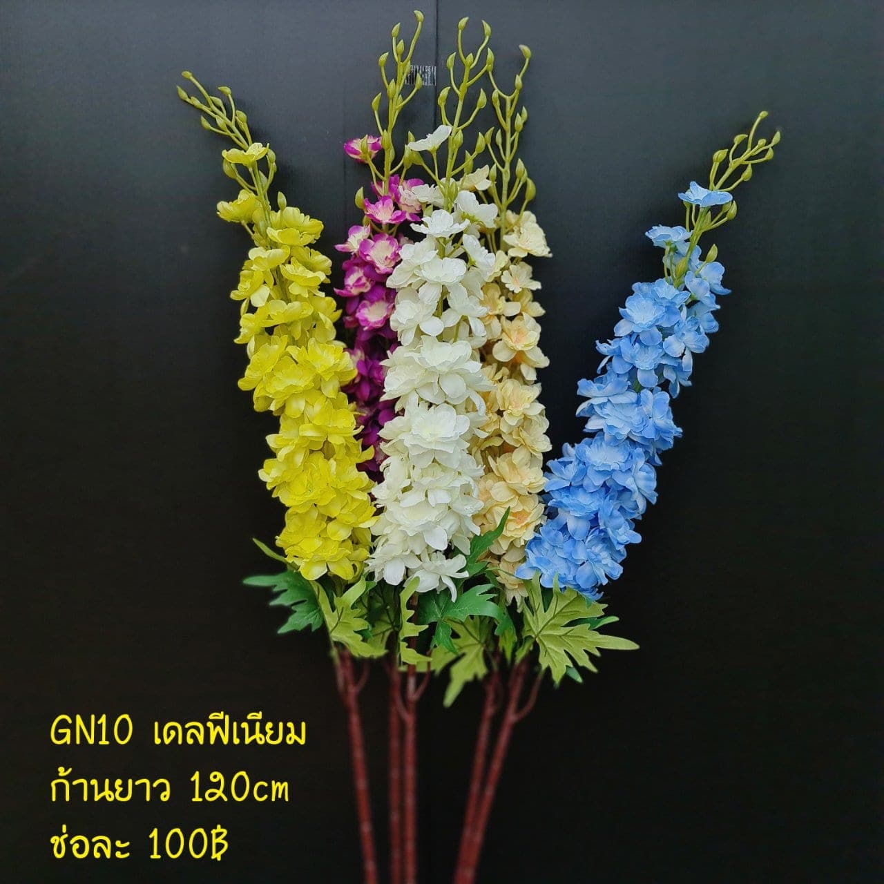 เดลฟีเนียม (GN10), Delphinium: small blooms stacked vertically on a tall, clean spire.