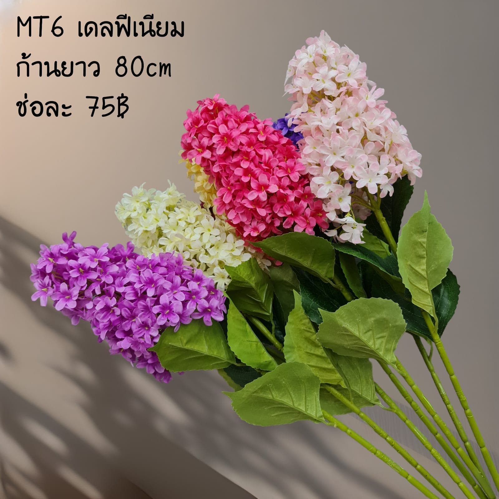 เดลฟีเนียม (MT6), Delphinium: small blooms stacked vertically on a tall, clean spire.