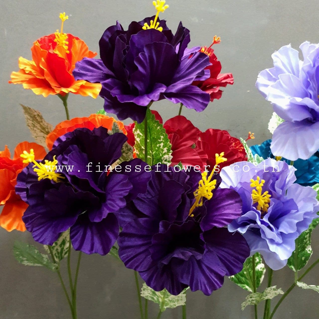 ชบาแฮปปี้ 3 ดอก (P328-2)
