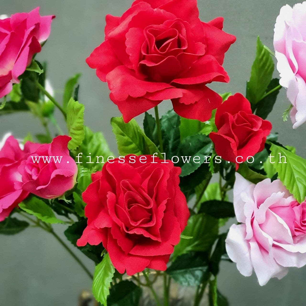 ดิออร์2บ1ต (P4-2), กุหลาบ 3 บาน: สีกลีบเป็นชั้นไล่โทนจากใจกลางสู่ขอบนอก