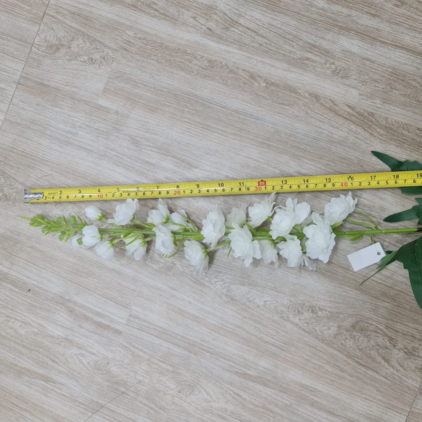 เดลฟีเนียมช่อยาว (UZ08), เดลฟีเนียม: ดอกเล็กเรียงตามก้านสูง สื่อความสง่าและสะอาด