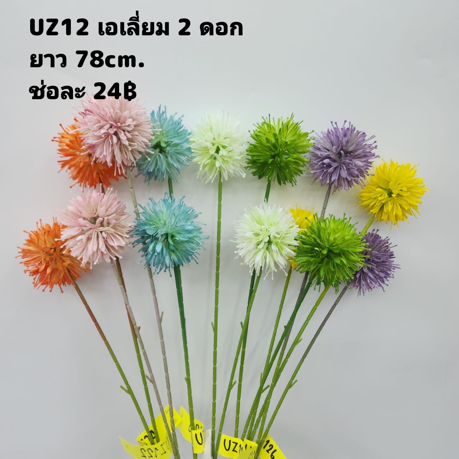 เอเลี่ยม2ดอก (UZ12), ก้านดอกประติมากรรม 2 ดอก: ก้านยาวฟอร์มชัด ใช้เป็นจุดเด่นได้ในแจกันสูง