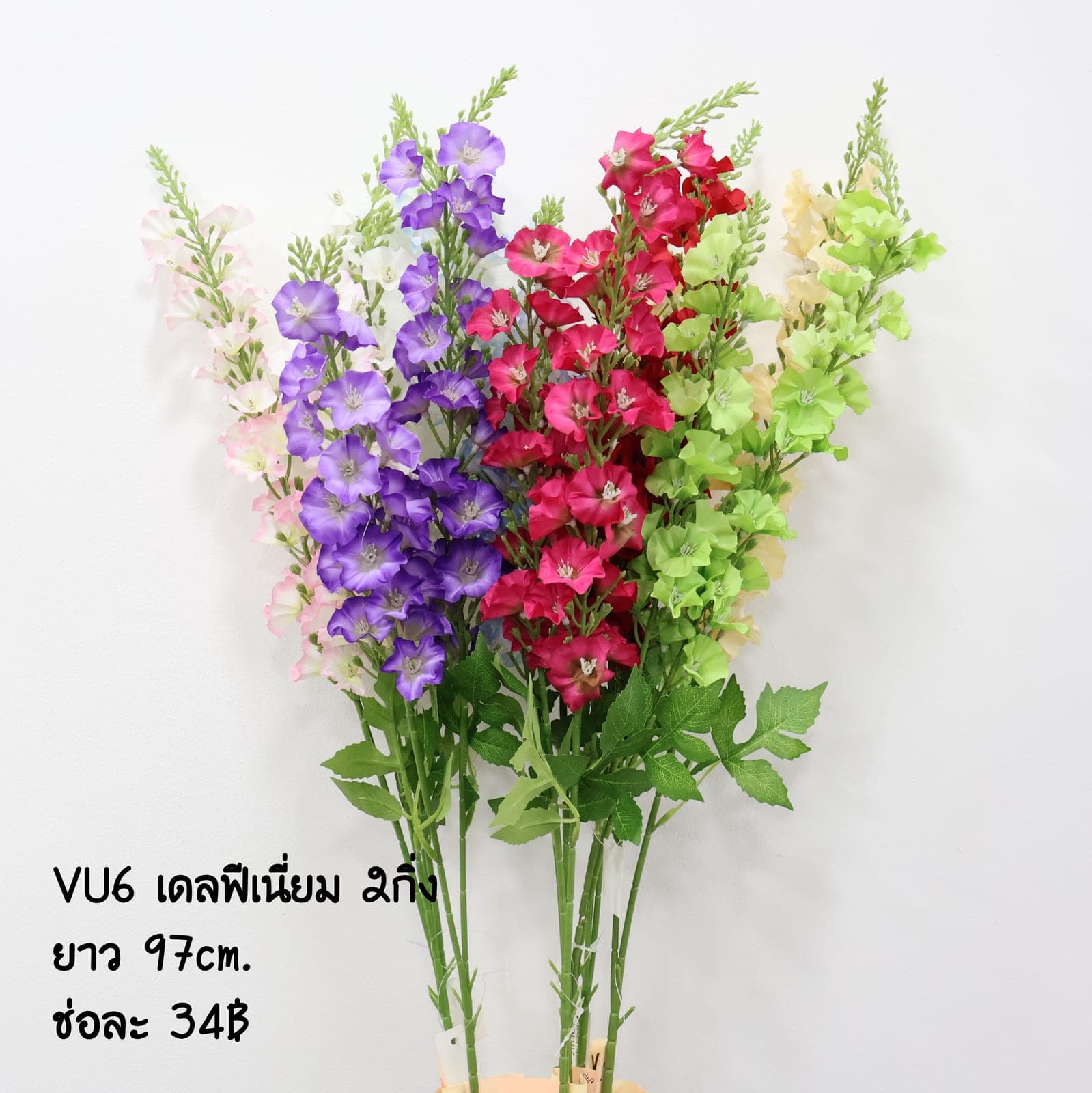 เดลฟีเนี่ยม 2กิ่ง (VU06)