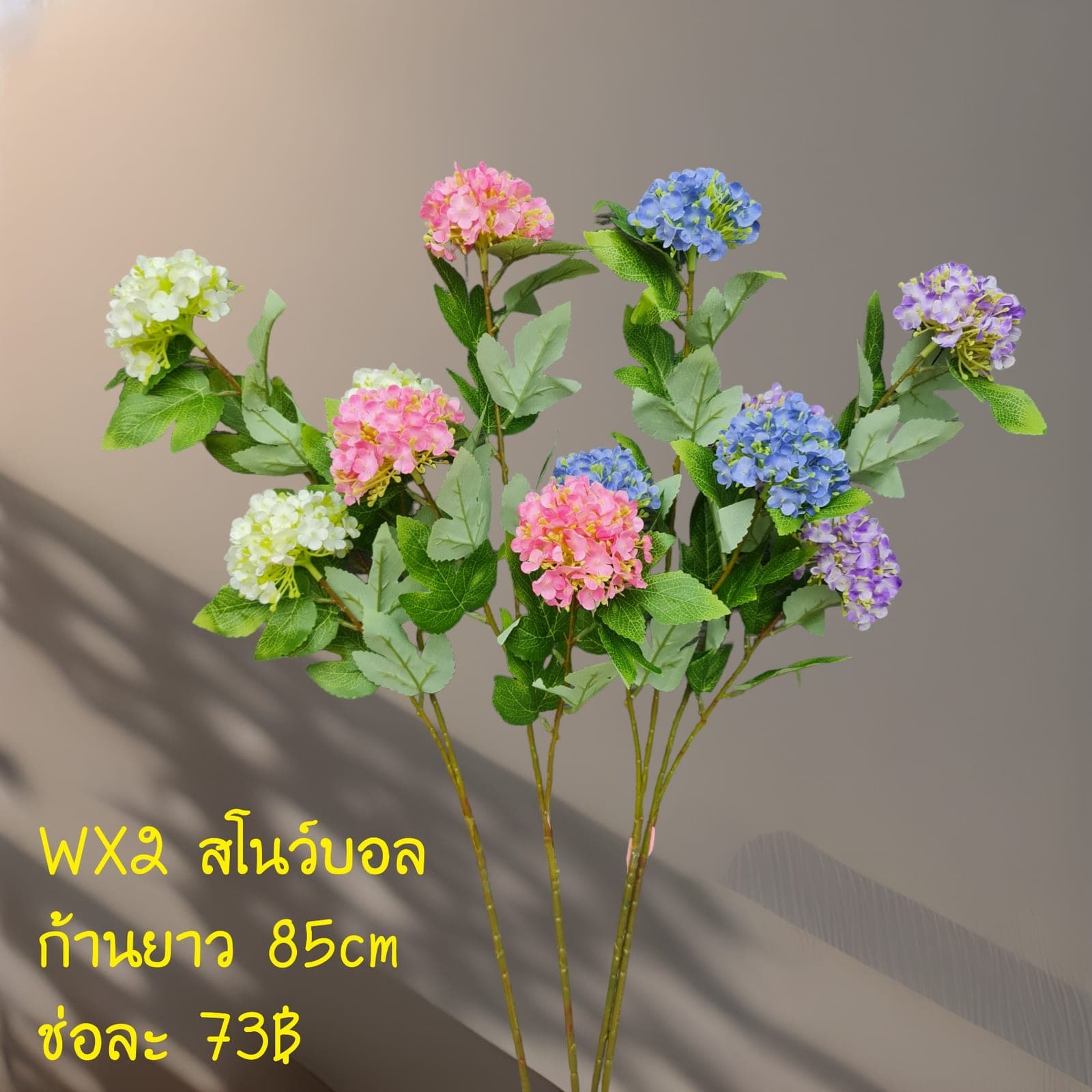 โสนว์บอล (WX2), ก้านดอกประติมากรรม: ก้านยาวฟอร์มชัด ใช้เป็นจุดเด่นได้ในแจกันสูง