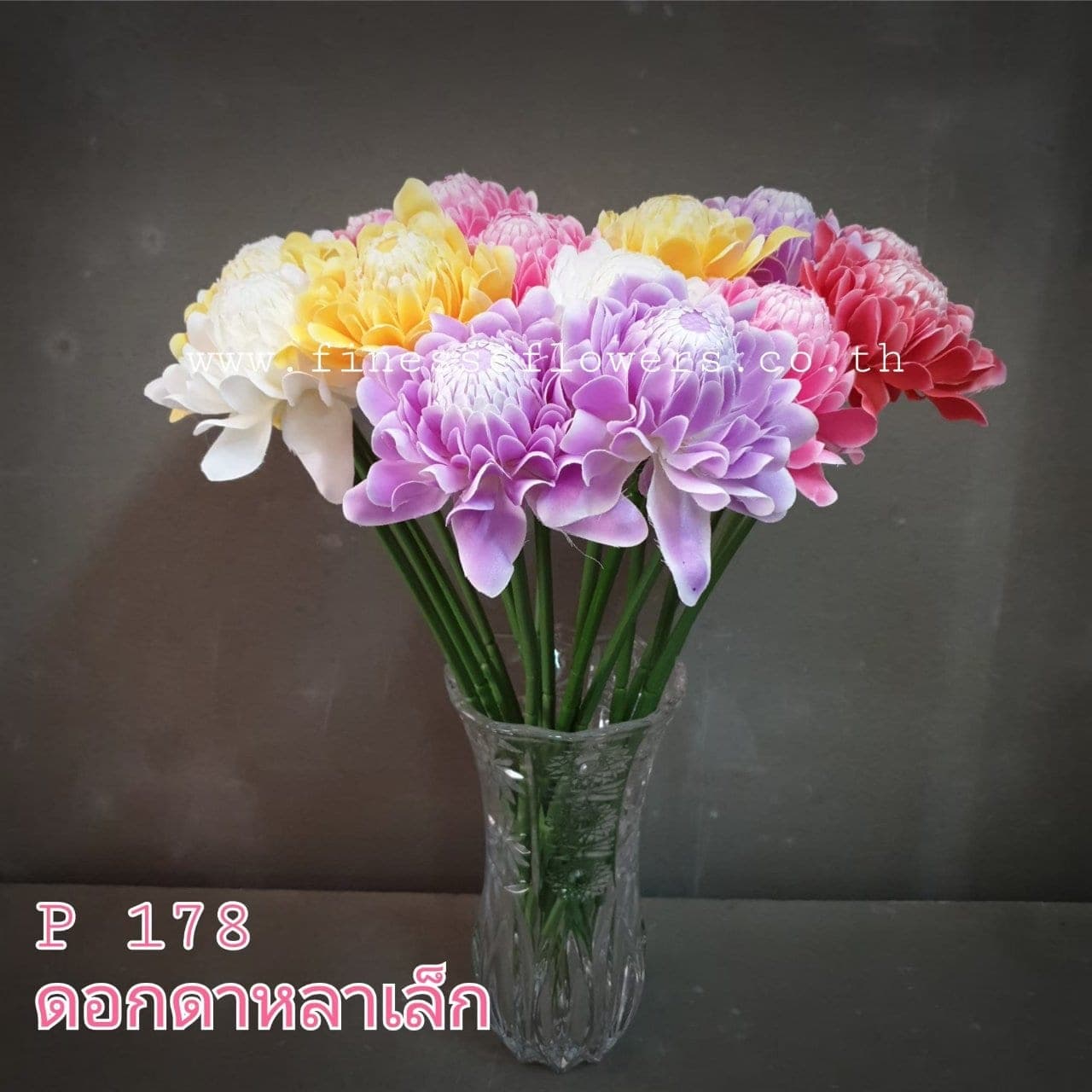 ดาหลาเล็ก (XH0LAHM-2)