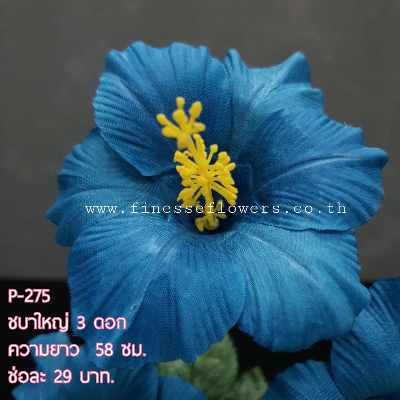 ชบาใหญ่ (XPWEK3M), Sculptural single stem: a tall stem with a defined silhouette built to anchor a tall vessel.