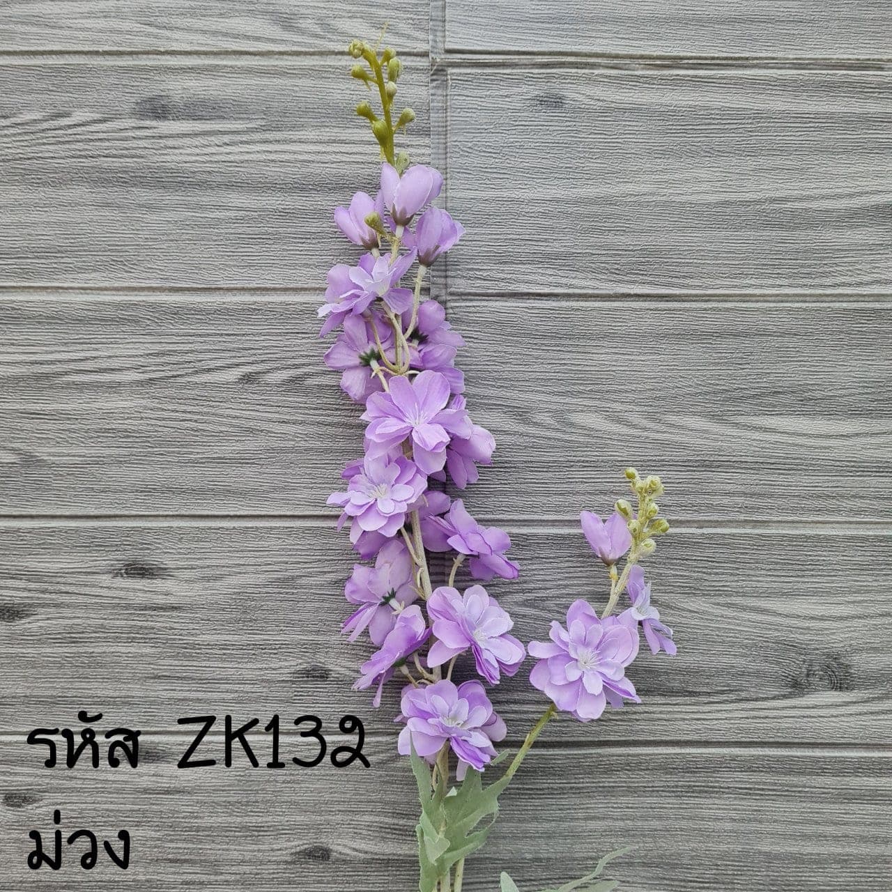 เดลฟีเนียม (ZK13), เดลฟีเนียม: ดอกเล็กเรียงตามก้านสูง สื่อความสง่าและสะอาด