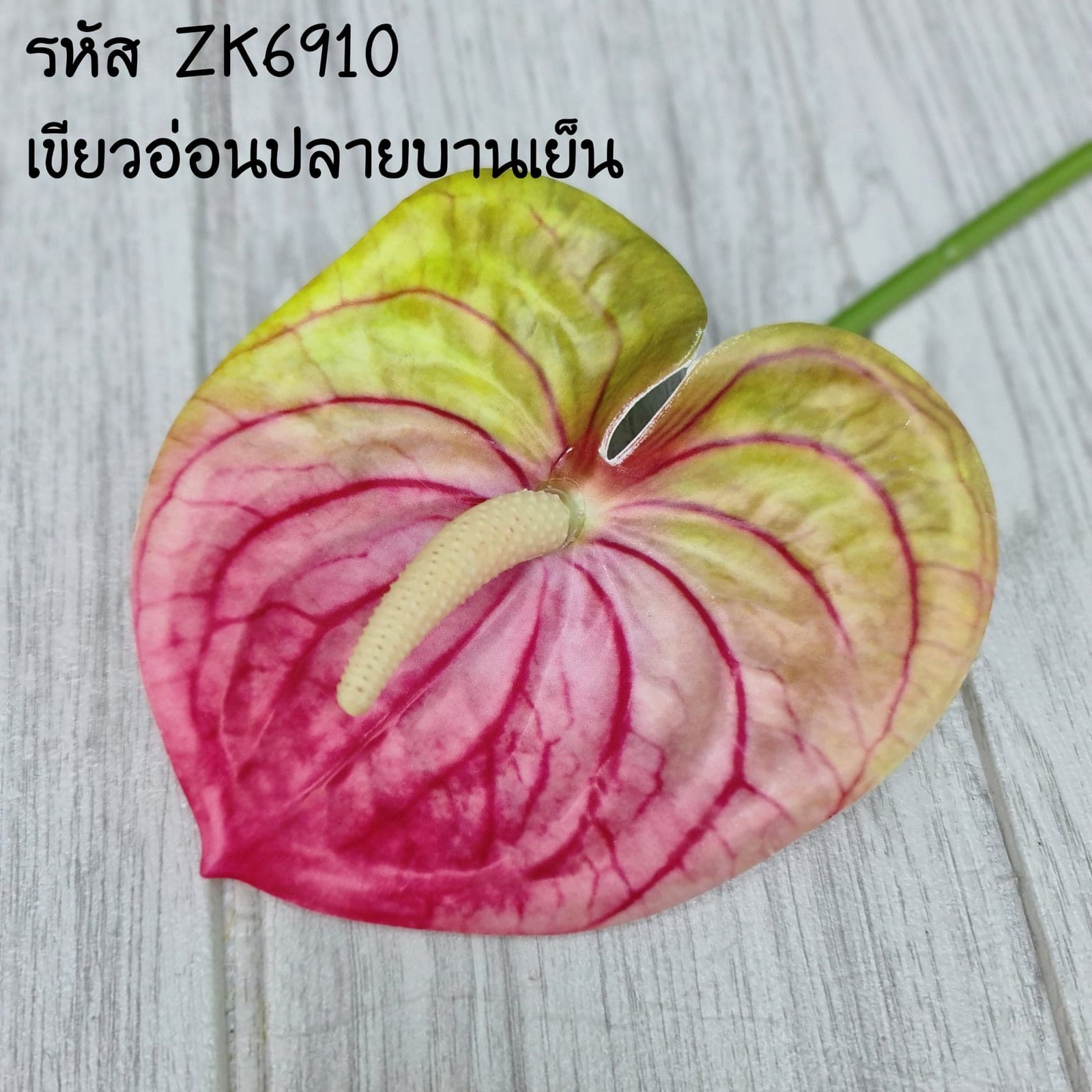 หน้าวัว (ZK69), ก้านดอกประติมากรรม: ก้านยาวฟอร์มชัด ใช้เป็นจุดเด่นได้ในแจกันสูง