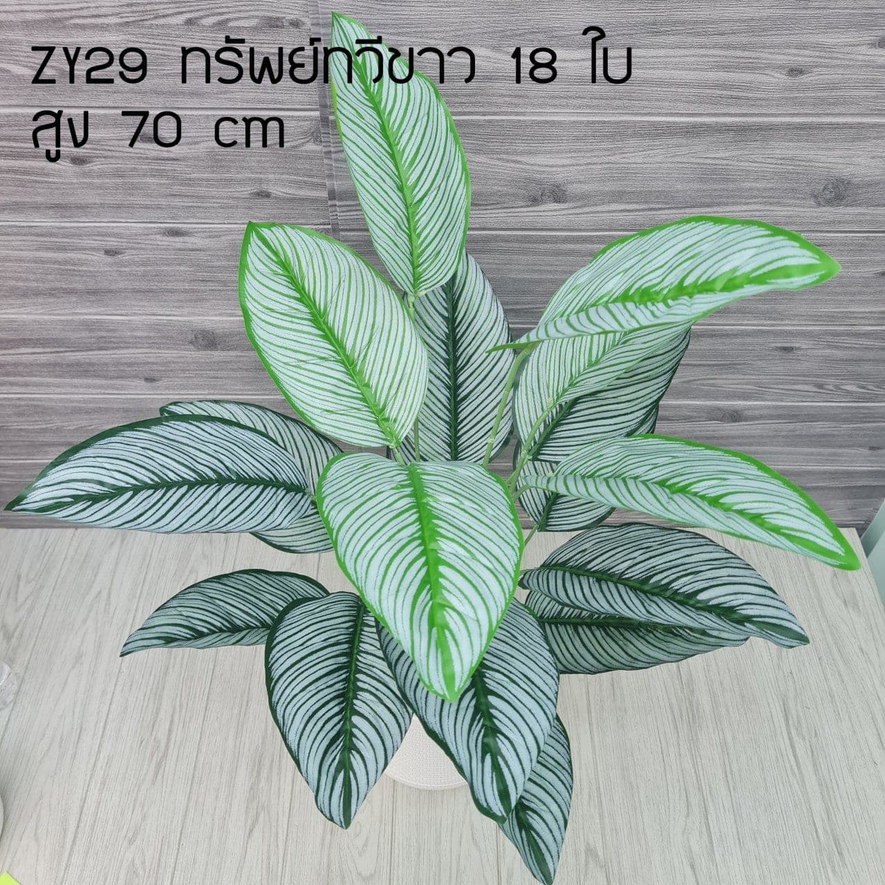 ทรัพย์ทวีขาว 18ใบ (ZY29), ใบไม้ 18 ใบ: ใบเขียวสำหรับเสริมความสมดุลและเป็นพื้นหลังให้ดอกหลัก