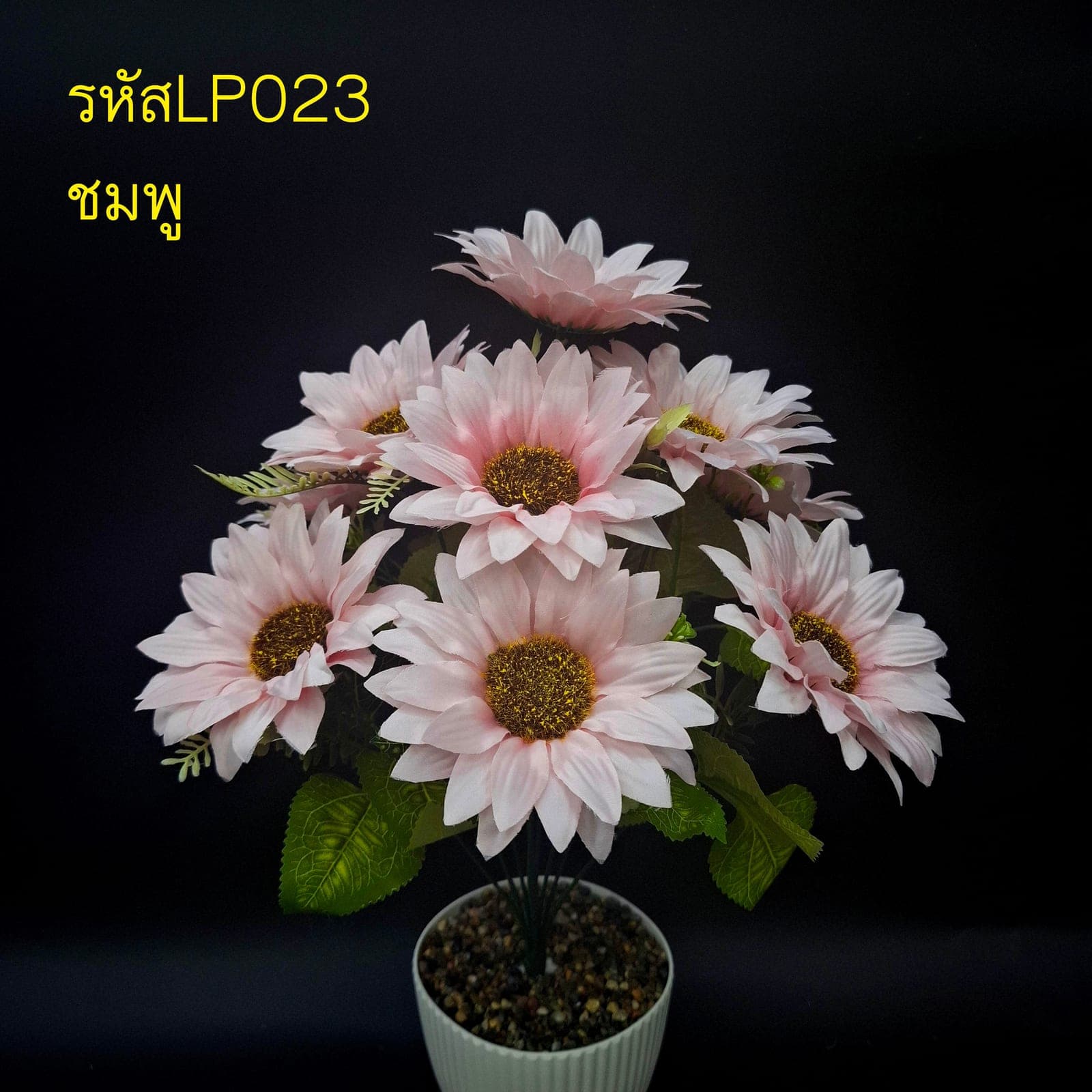 ทานตะวัน 9ดอก (LP02), ทานตะวัน 9 ดอก — กลีบสีทองทอดยาวรอบจานเมล็ดสีดาร์ก