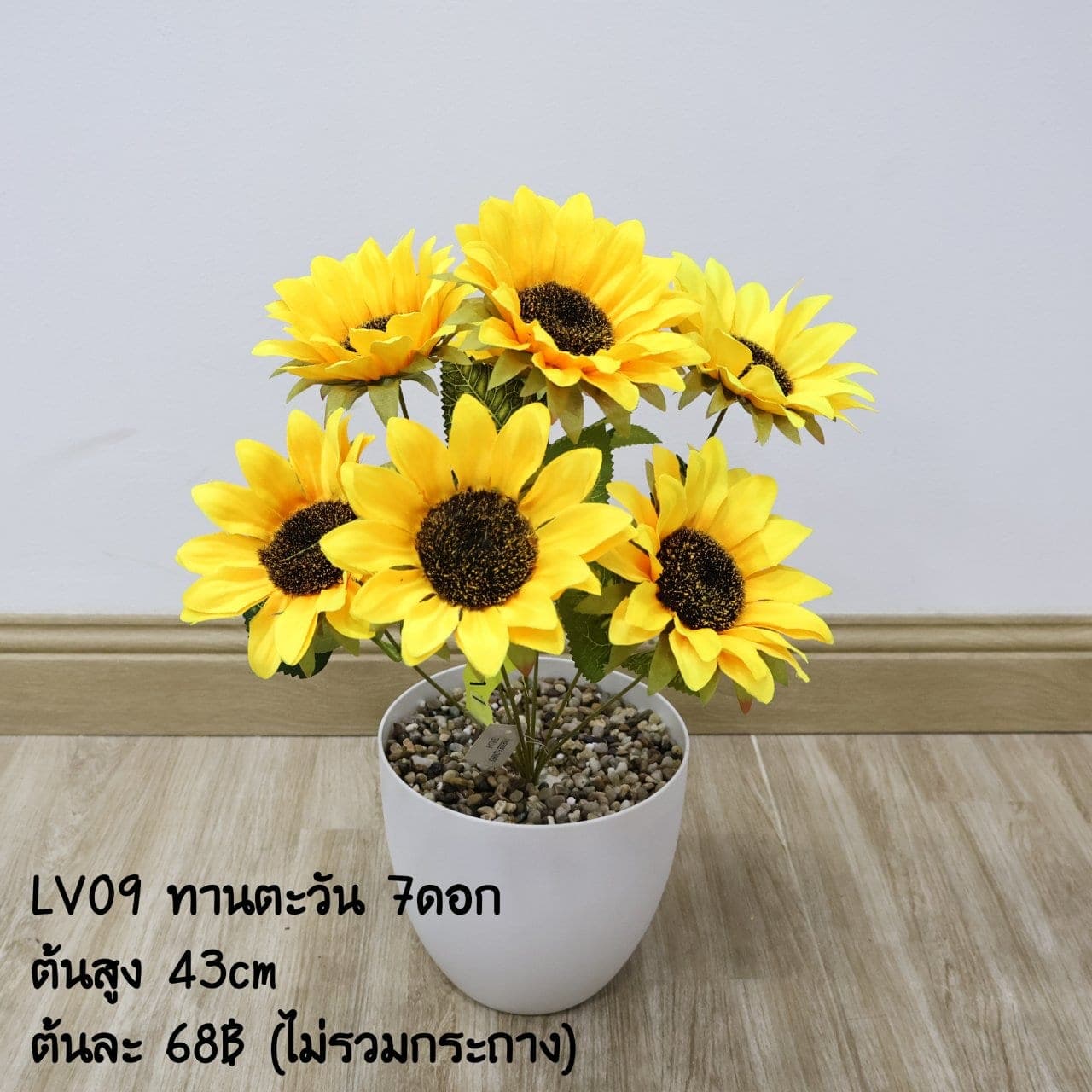 ทานตะวัน7ดอก (LV9), ทานตะวัน 7 ดอก — จานเมล็ดเข้ม กลีบสีทองชัด ให้น้ำหนักเป็นจุดเด่น