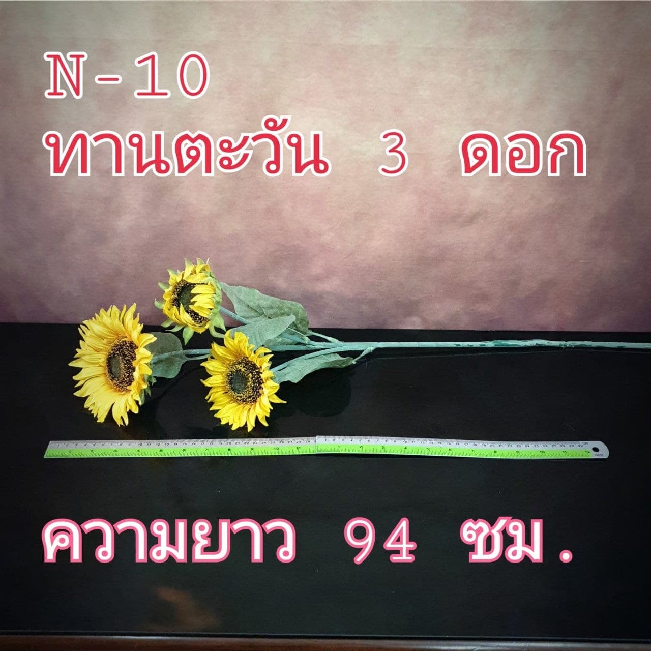 ทานตะวัน (N10), ทานตะวัน — ดอกใหญ่ก้านยาว เพิ่มความสว่างให้องค์ประกอบ