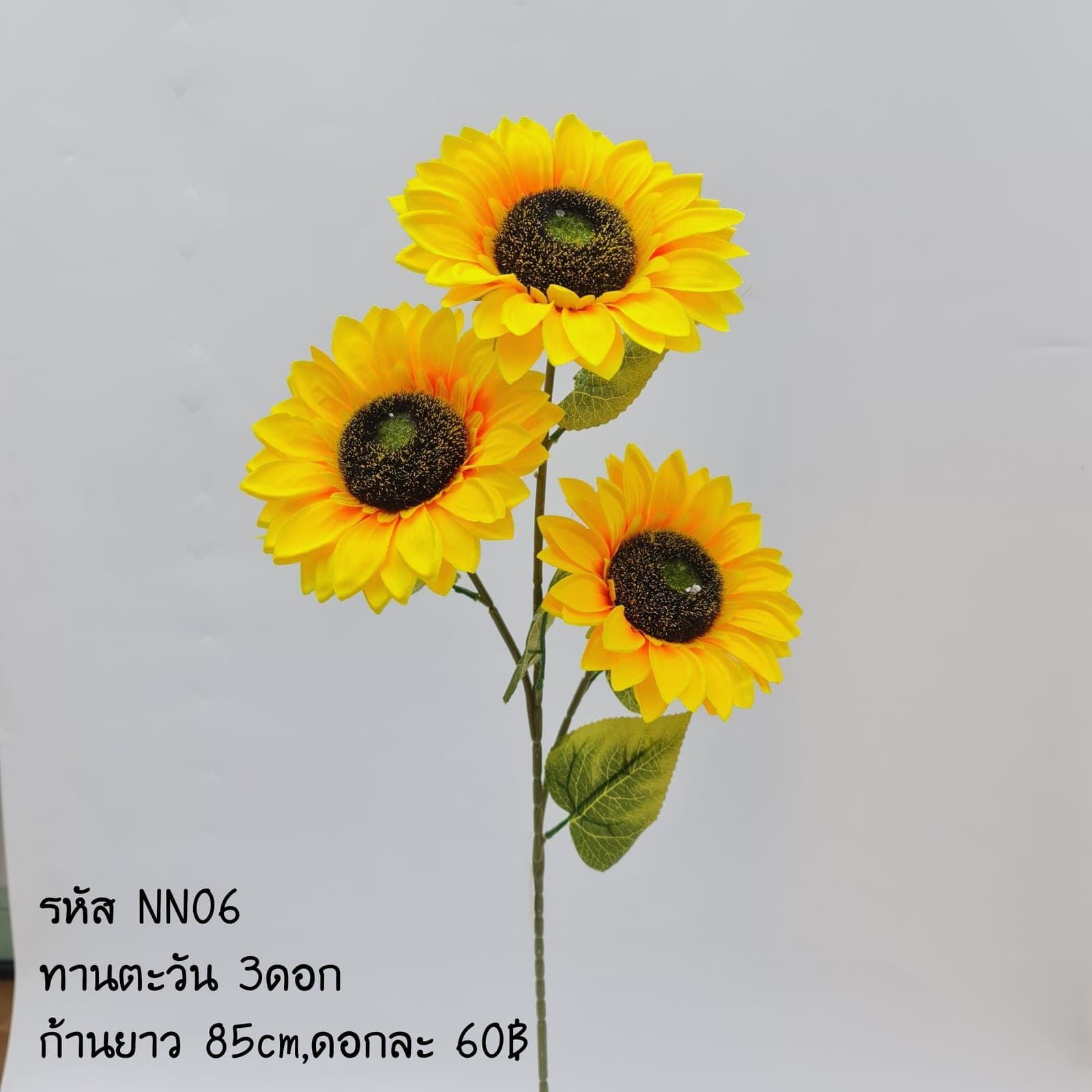 ทานตะวัน (NN6), Sunflower: a dark seed disk ringed by saturated golden ray petals.