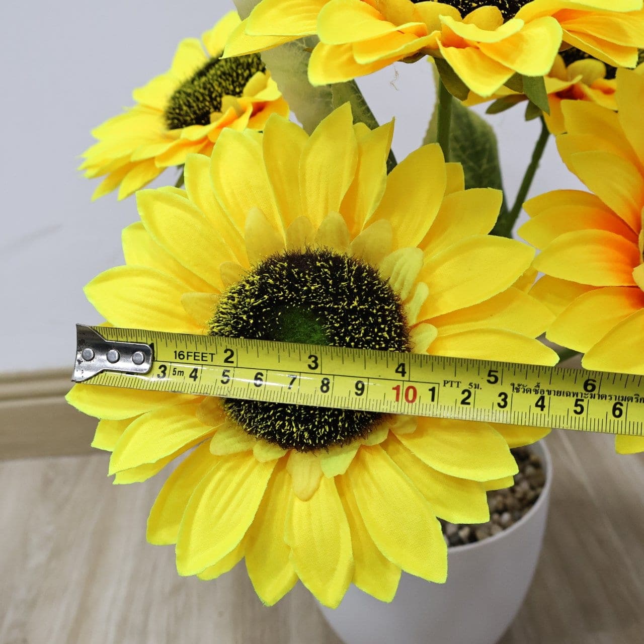 ทานตะวัน (NN9), Sunflower: a dark seed disk ringed by saturated golden ray petals.