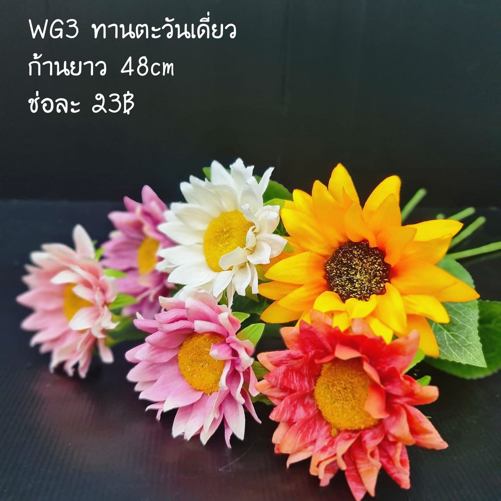 ทานตะวันเดี่ยว (WG3), A single-stem sunflower: golden petals fanning out from a deep, brooding centre.