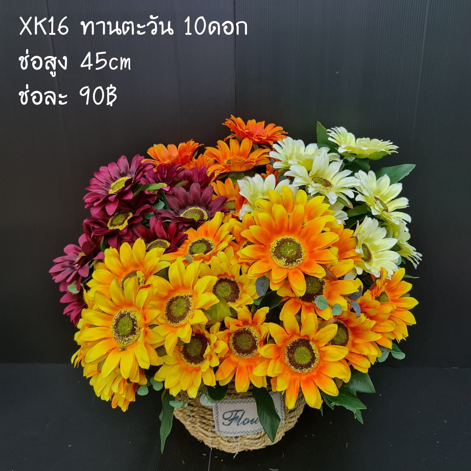 ทานตะวัน 10ดอก (XK16), ทานตะวัน 10 ดอก: กลีบสีทองทอดยาวรอบจานเมล็ดสีดาร์ก