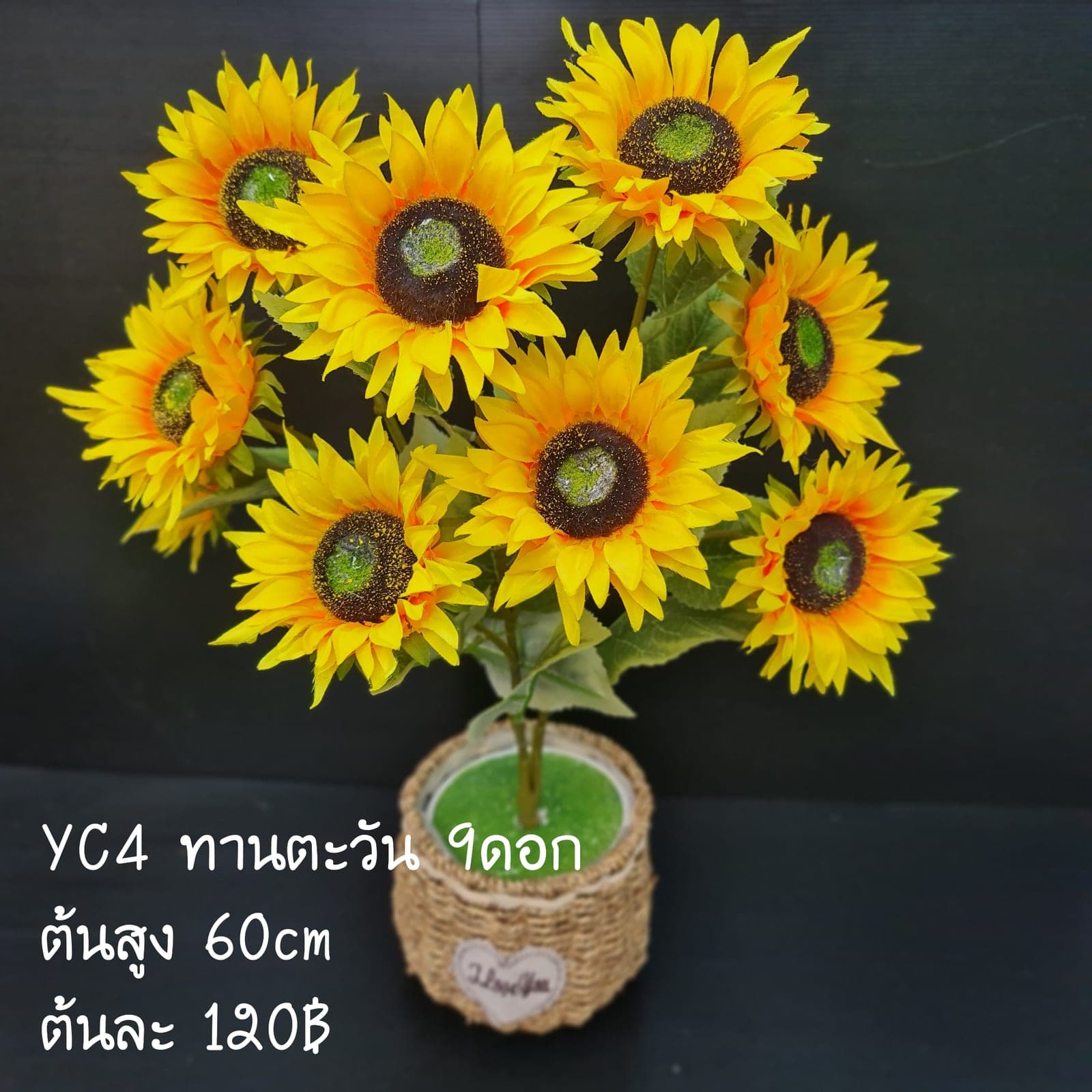 ทานตะวัน (YC4), ทานตะวัน: ดอกใหญ่ก้านยาว เพิ่มความสว่างให้องค์ประกอบ