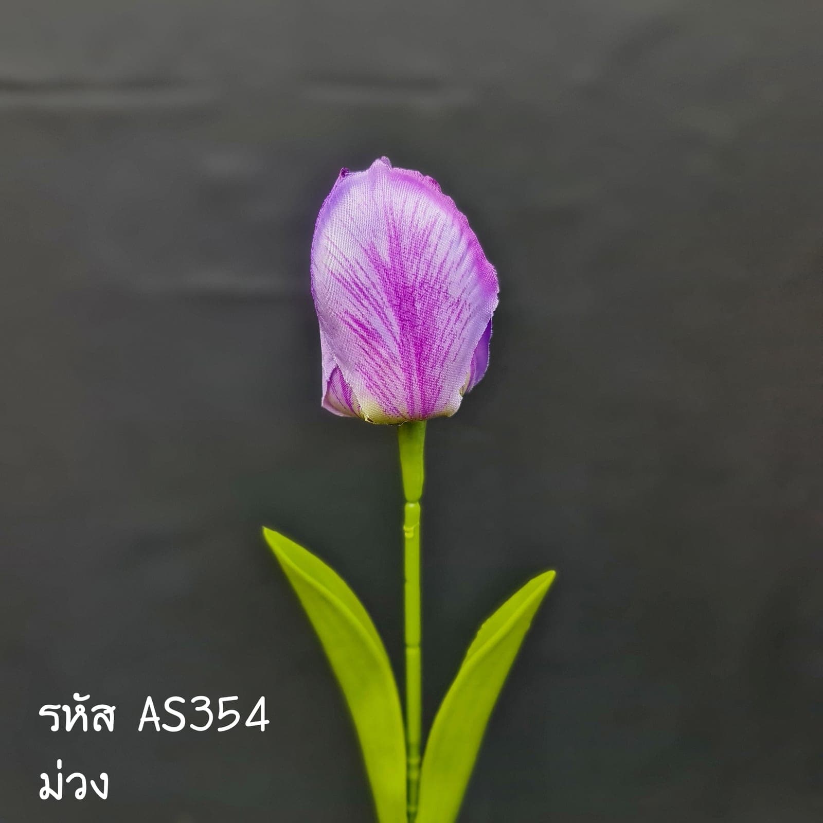 ทิวลิปเดี่ยว (AS35), ก้านเดี่ยวทิวลิป — กลีบทรงถ้วยและก้านโค้งให้จังหวะออร์แกนิก