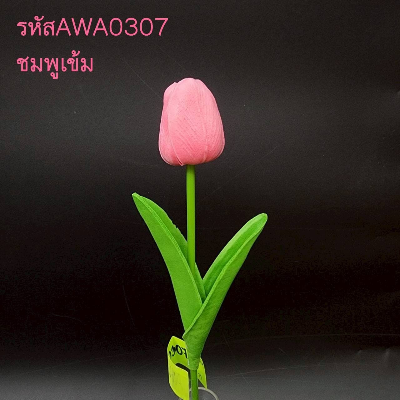 ทิวลิปเดี่ยว (AWA03), ก้านเดี่ยวทิวลิป — ดอกเด็คโคหยดน้ำ ก้านเขียวสด ให้ฟอร์มเรียบสะอาด