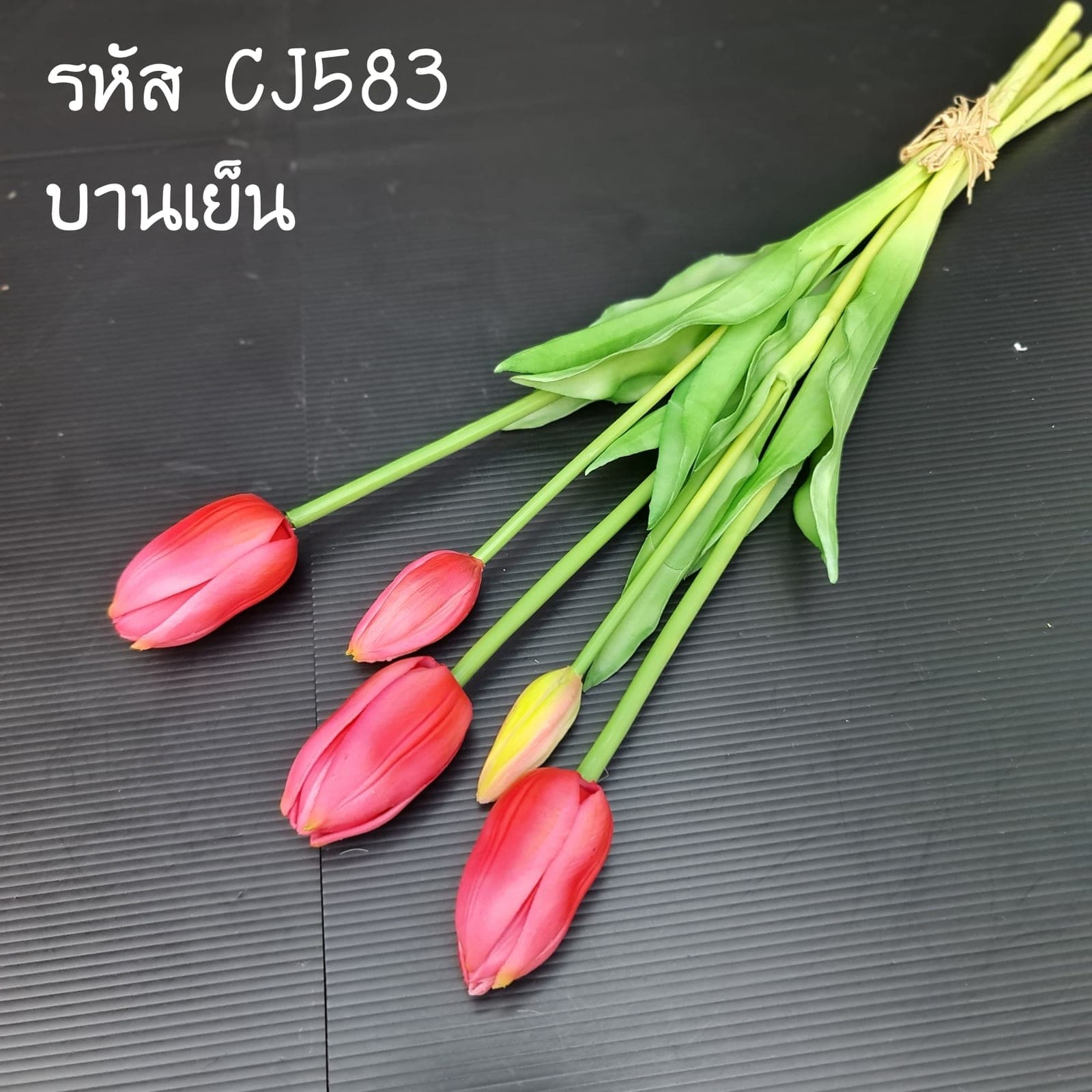 ทิวลิปยาง (CJ58), ทิวลิป — ดอกเด็คโคหยดน้ำ ก้านเขียวสด ให้ฟอร์มเรียบสะอาด