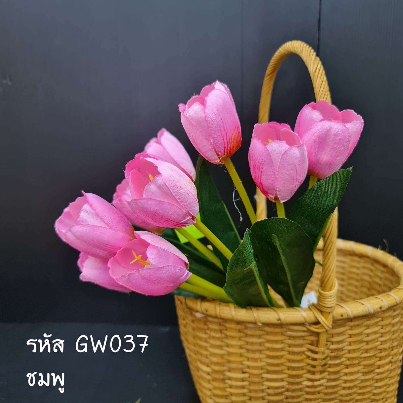 ทิวลิป 9ดอก (GW3), ทิวลิป 9 ดอก — กลีบนุ่มและพลิ้ว สะท้อนแสงให้ละมุนตา