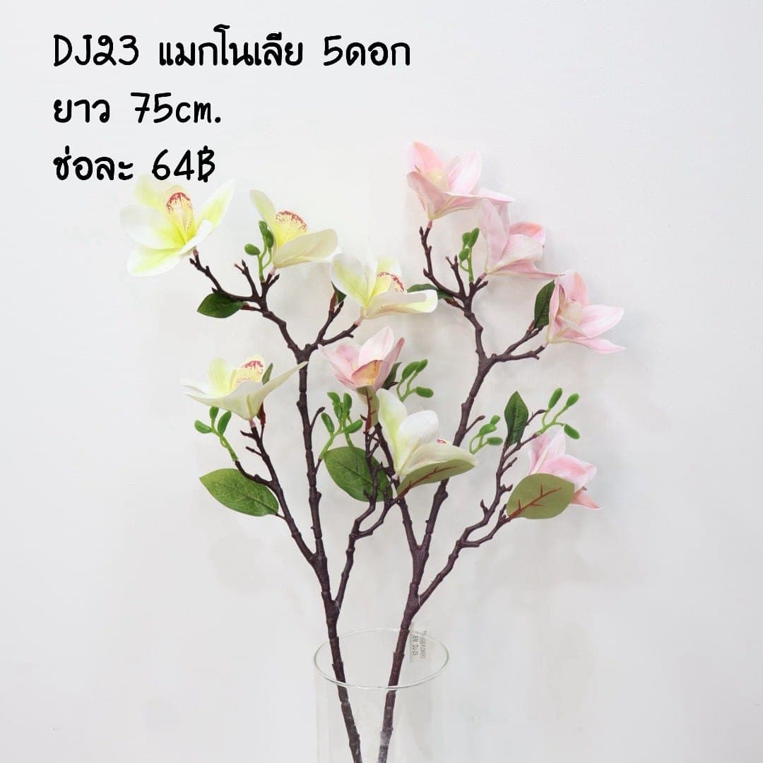 แมกโนเลีย 5ดอก (DJ23)