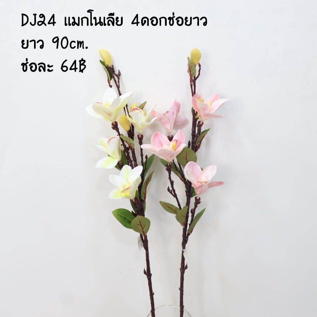แมกโนเลีย 4ดอก (DJ24)