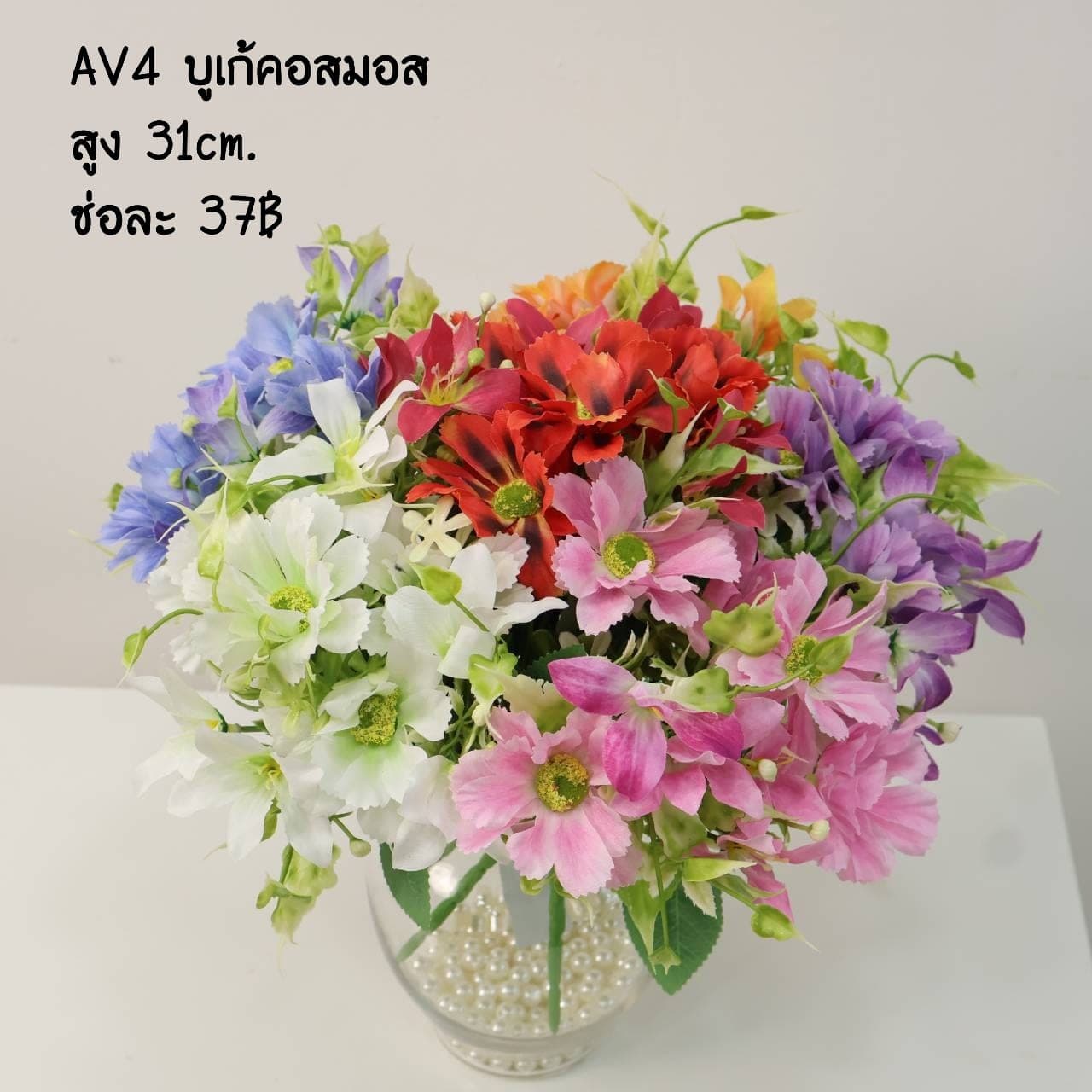 บูเก้คอสมอส (AV04)