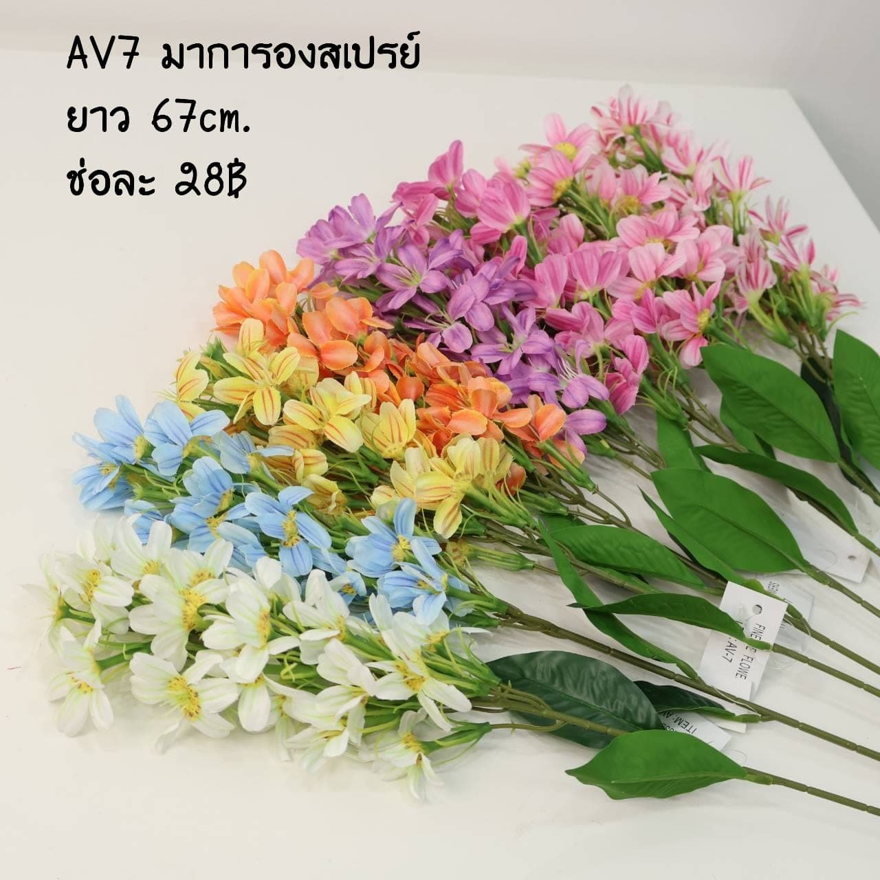 มาการองสเปรย์ (AV07)