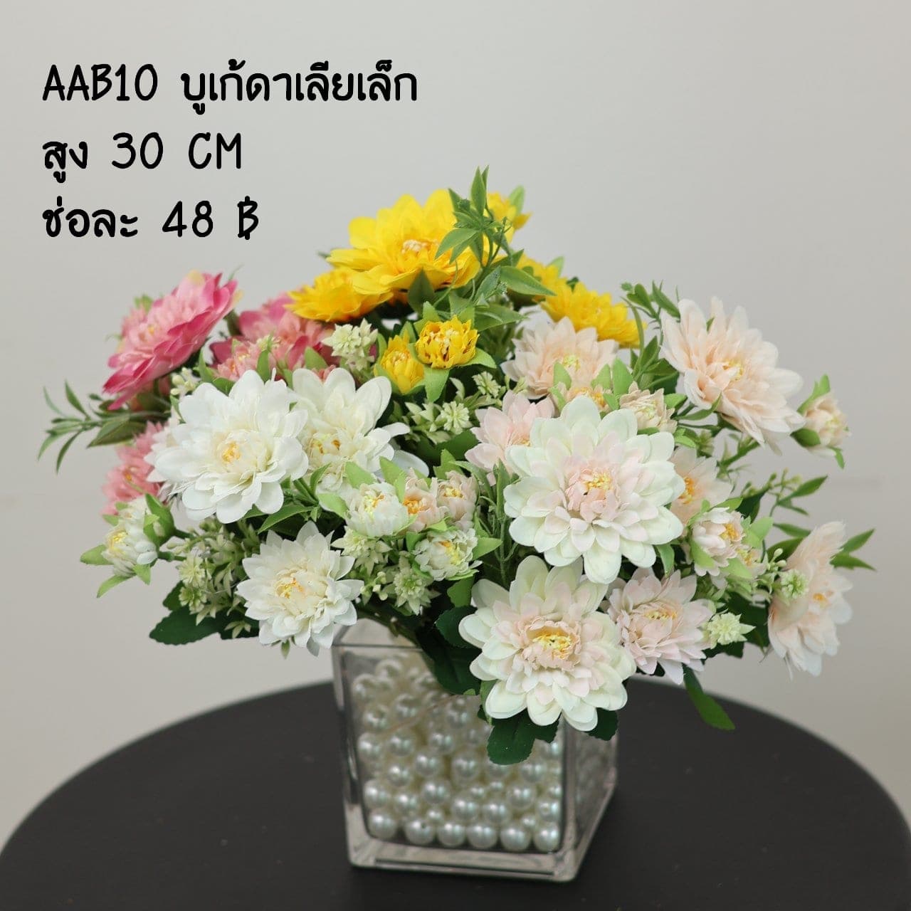 บูเก้ดาเลียเล็ก (AAB10)
