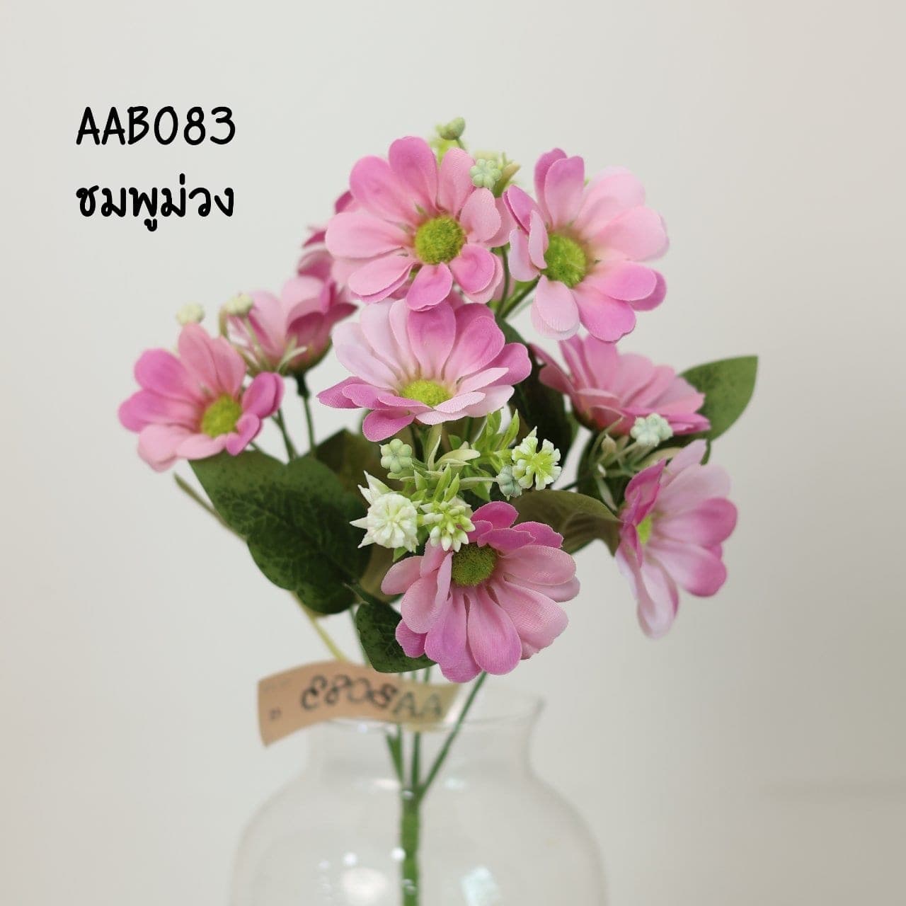 บูเก้เดซี่ใหญ่ (AAB08)