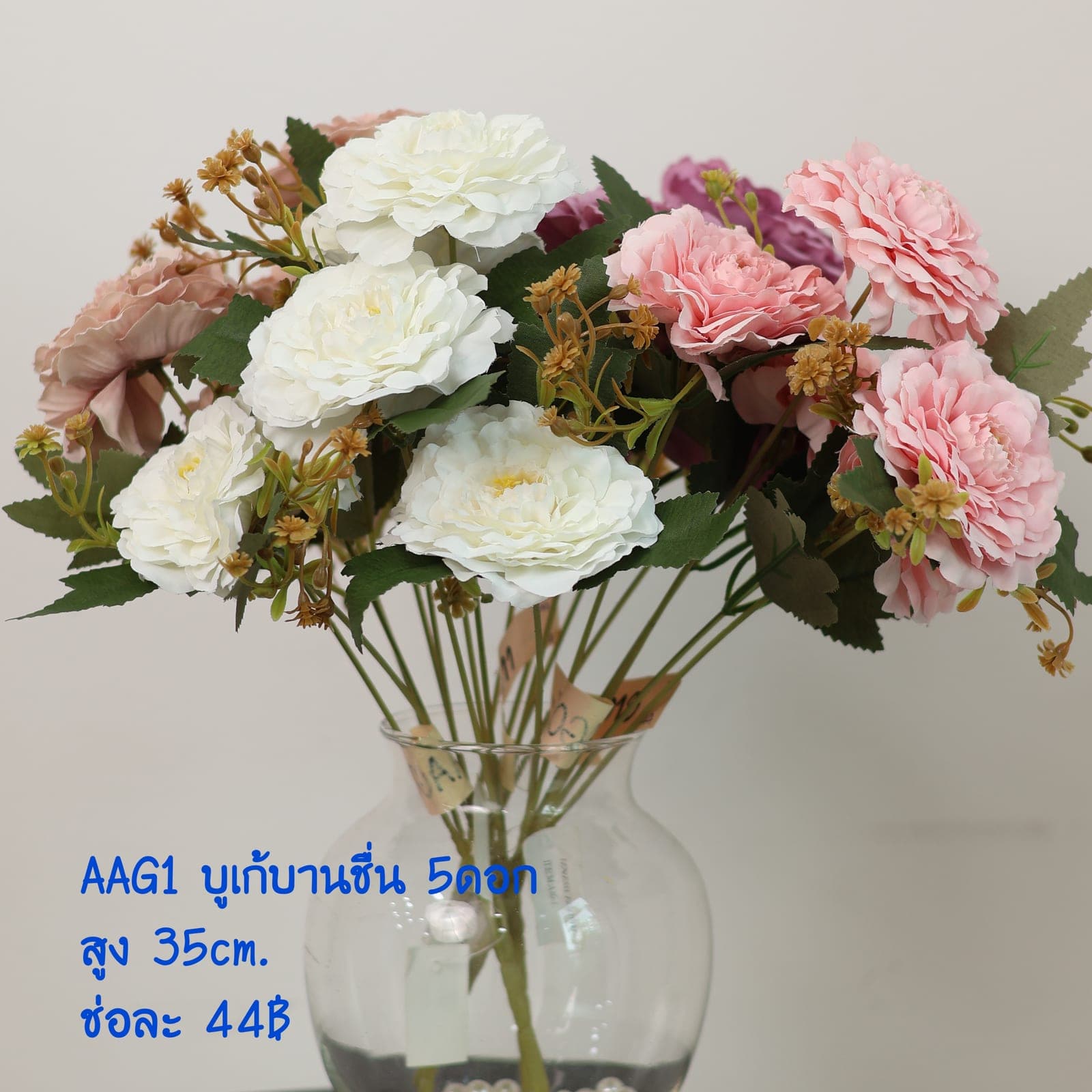 บูเก้บานชื่น (AAG01)