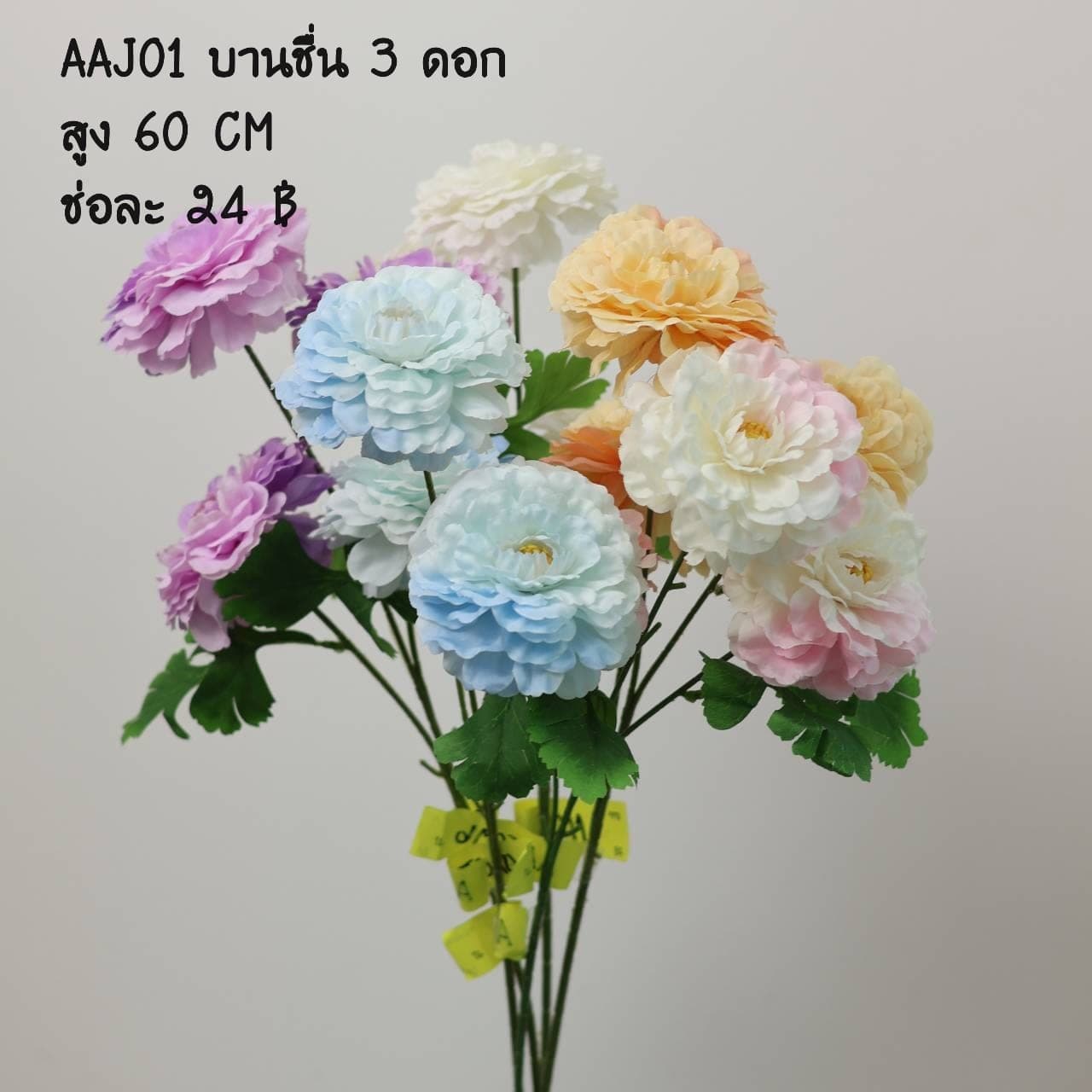 บานชื่น 3 ดอก (AAJ01)