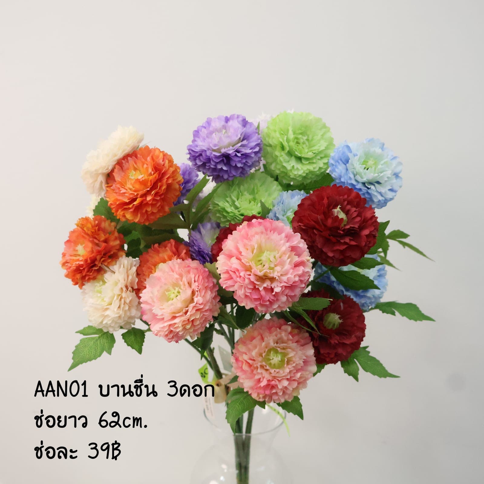 บานชื่น 3ดอก (AAN01)