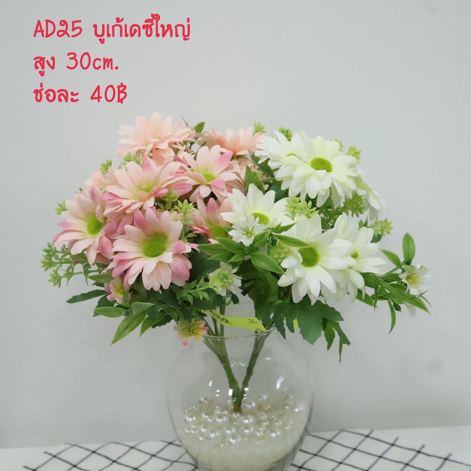บูเก้เดซี่ใหญ่ (AD25)