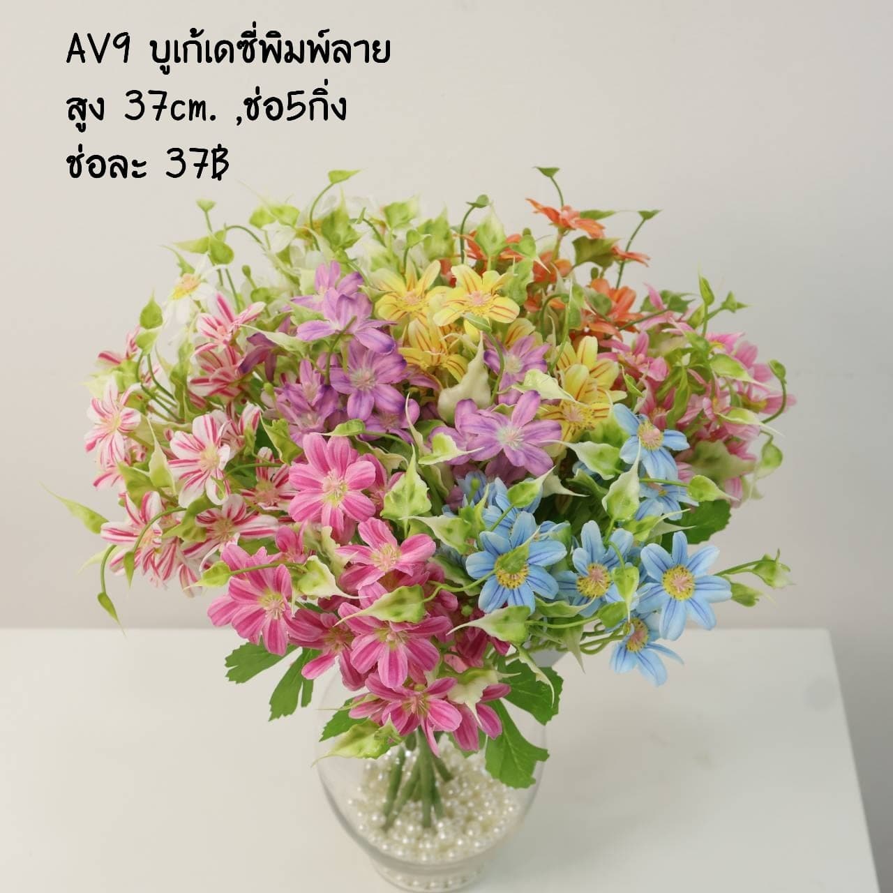 เดซี่พิมพ์ลาย (AV09)